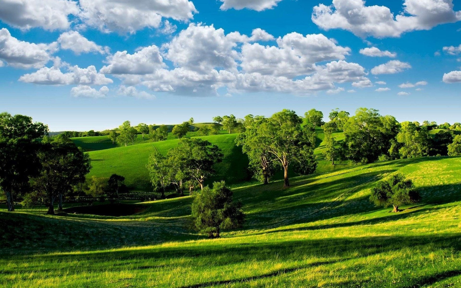 rolling landscape, day, green - golf course, environment, nature, idyllic, 1080P, scenics - nature, field, land, plant, tree, grass, outdoors, tranquility, HD Wallpaper