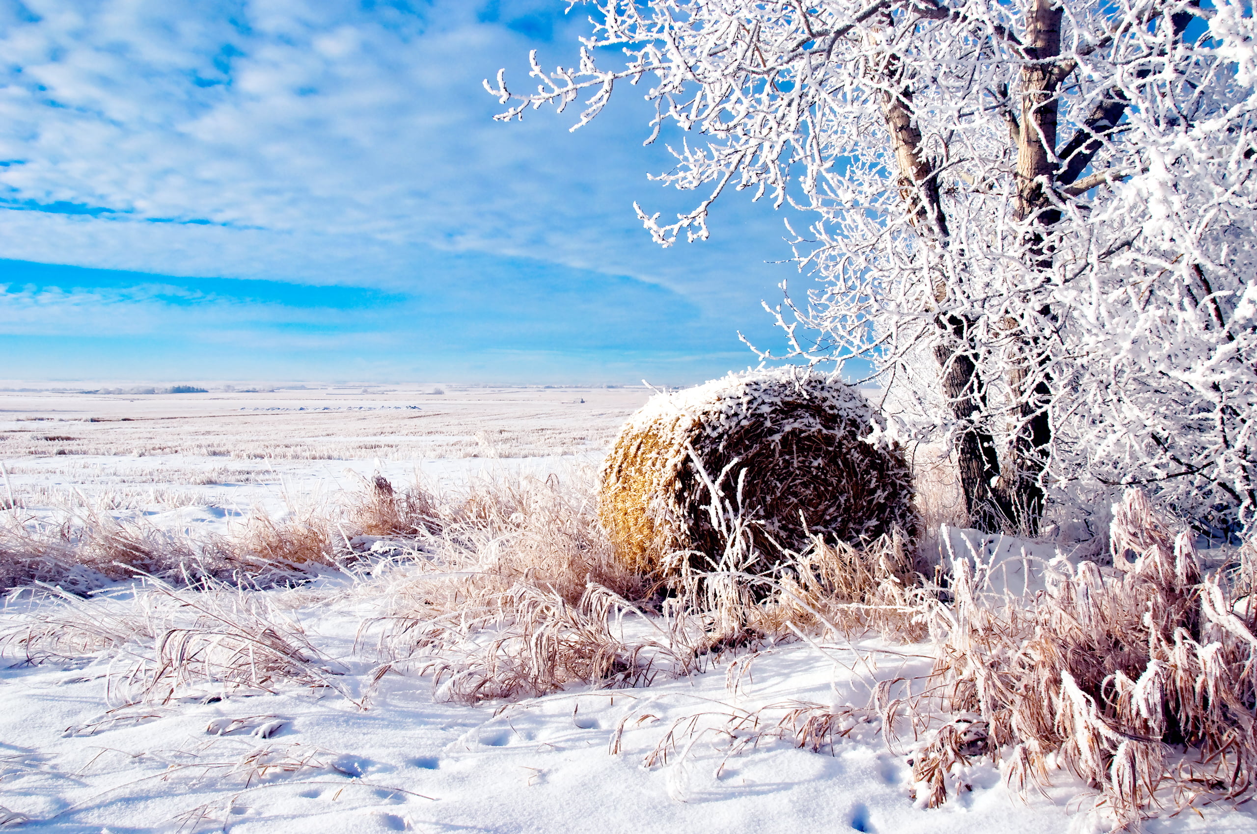 beauty In Nature, landscape, sunlight, cold temperature, winter, outdoors, scenics, cloud - Sky, frost, tranquil scene, tranquility, field, scenics - nature, HD Wallpaper
