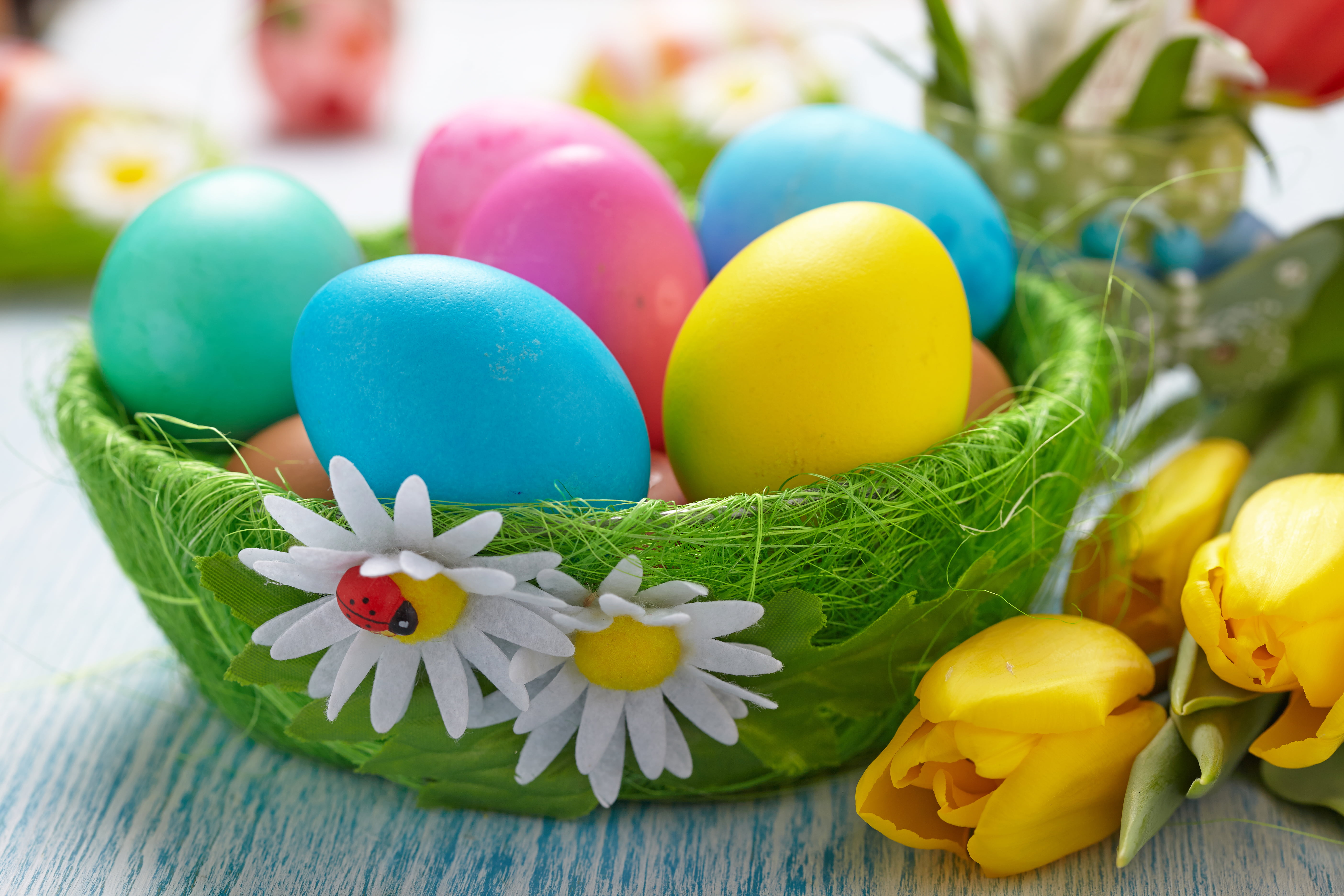 vibrant Color, easter Egg, blue, eggs, plank, group of Objects, still life, animal Nest, backgrounds, purple, Easter eggs, table, green Color, close-up, HD Wallpaper