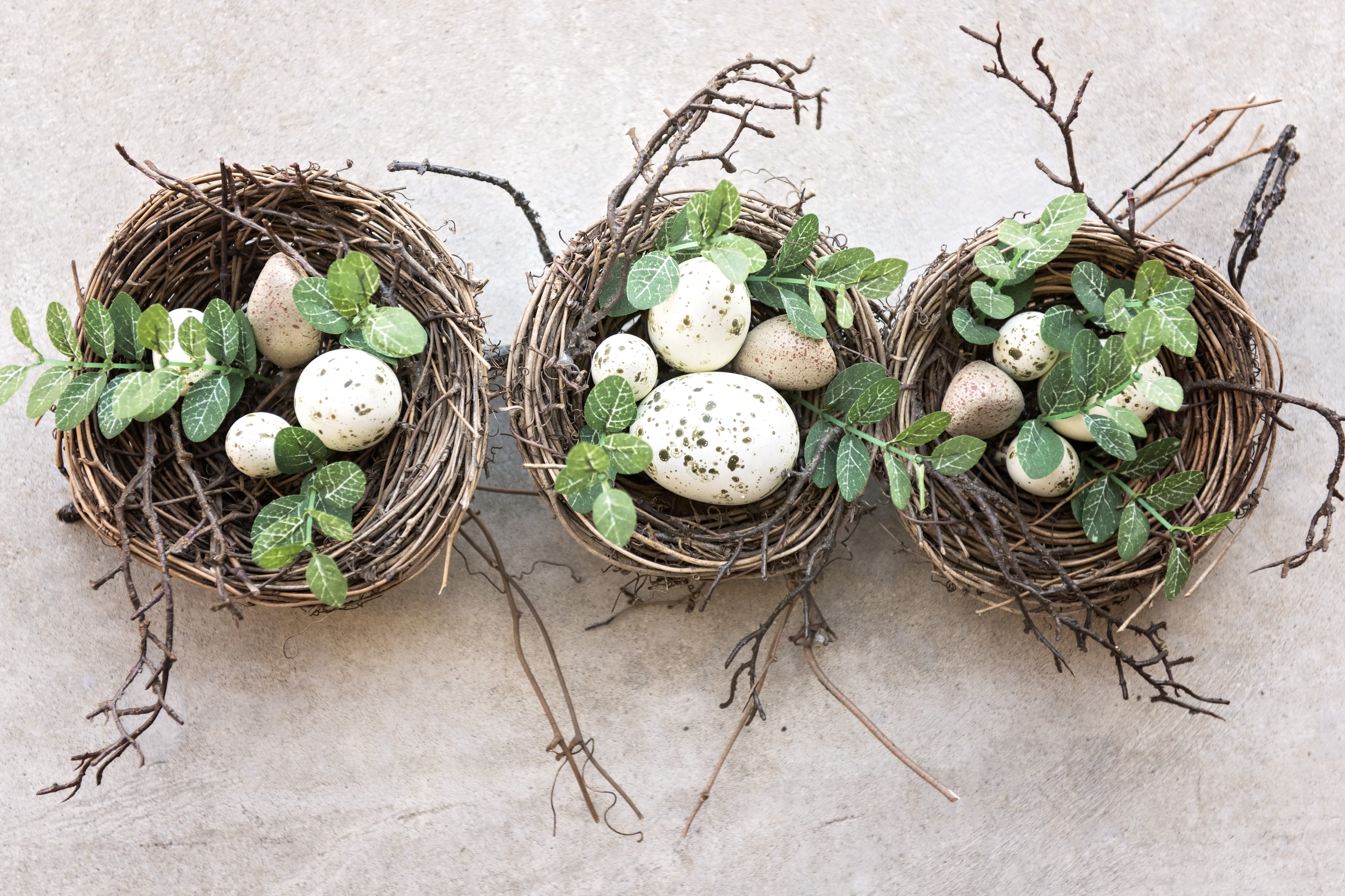 celebration, egg, food, spotted, 5K, easter, food and drink, white, animal nest, eggs, still life, holiday, basket, nature, little, plant, freshness, holiday - event, HD Wallpaper