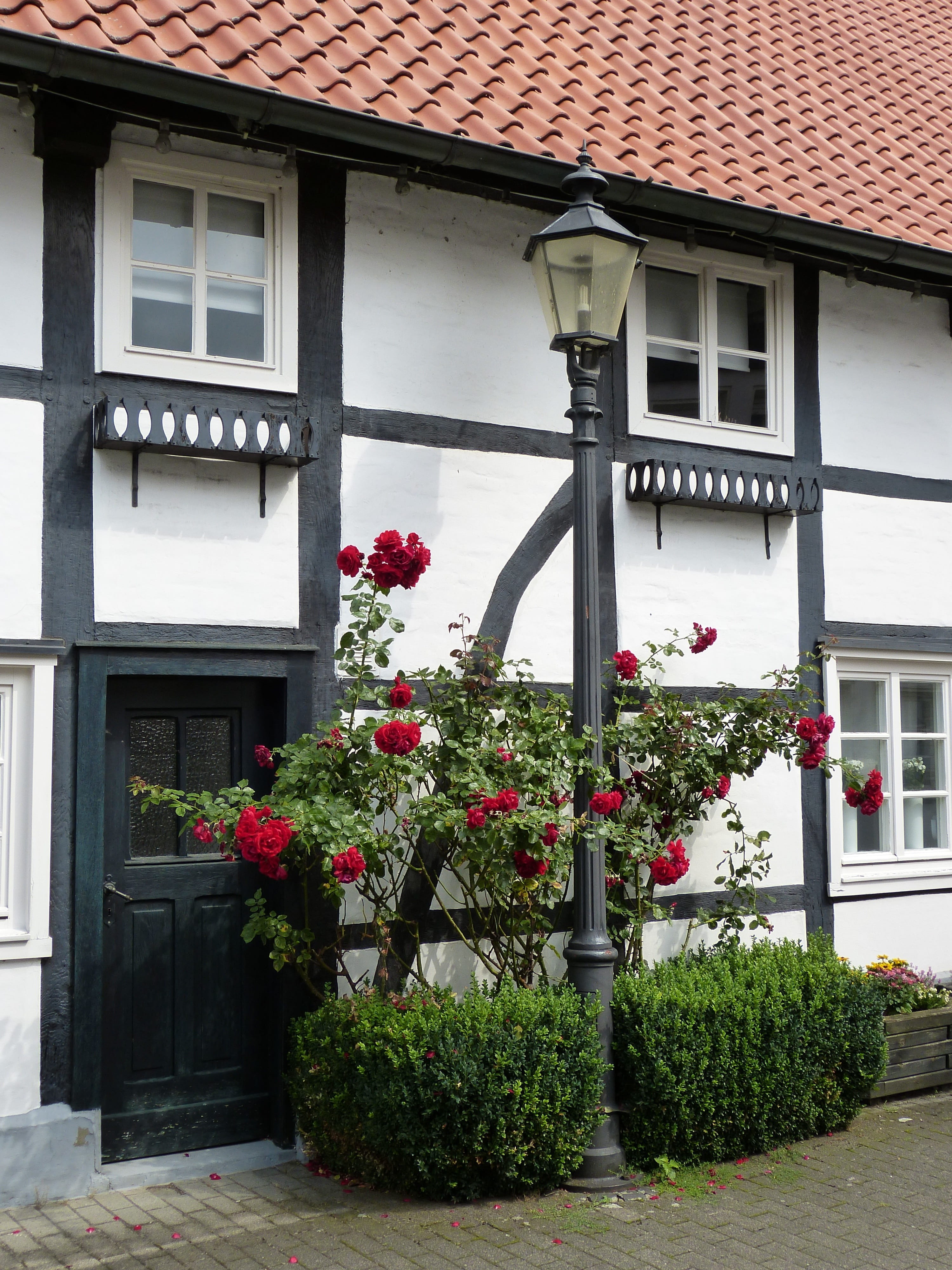 north rhine westphalia, potted plant, building, architecture, house, plant, truss, flower, building exterior, beauty in nature, fachwerkhaus, entrance, Phone HD Wallpaper