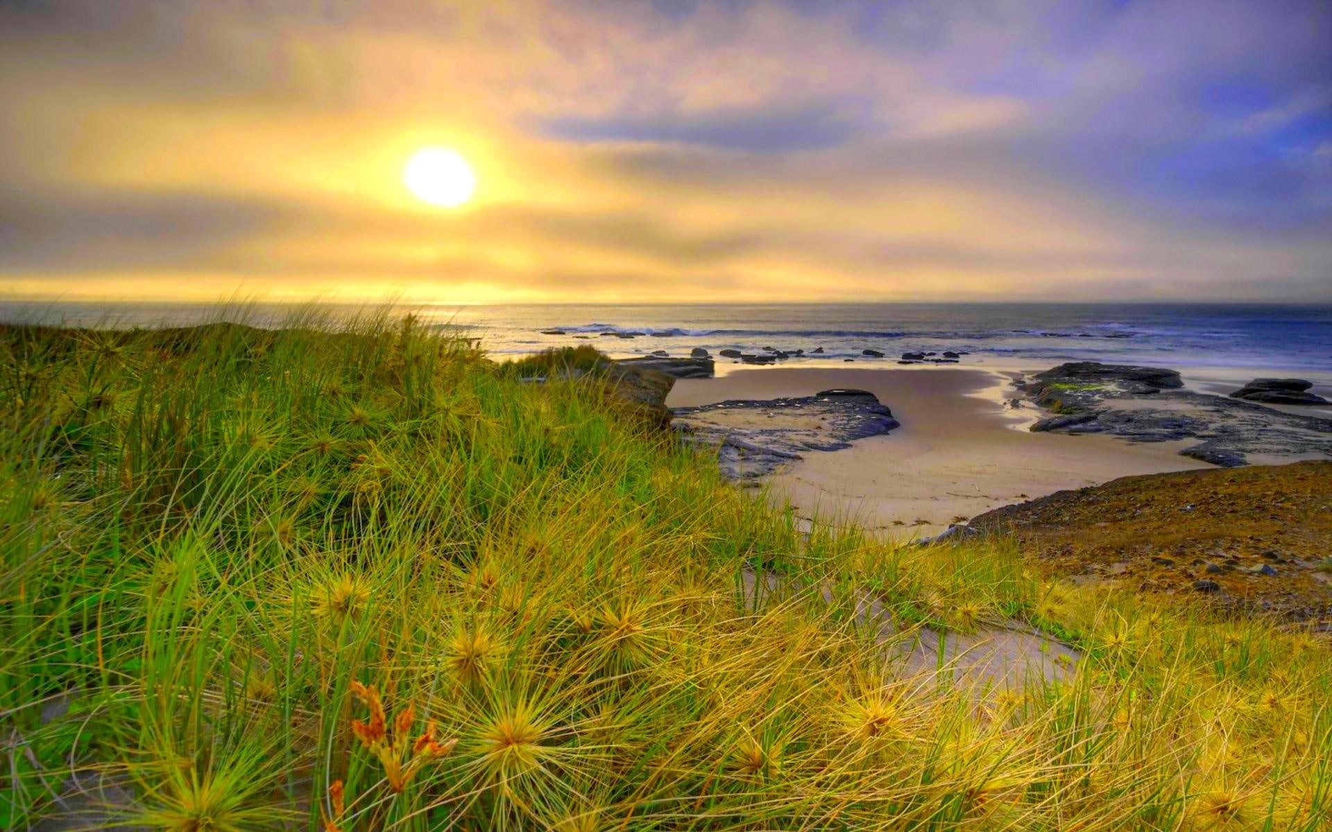 good, sunshine, morning, grass, nature and landscapes, shore, 1080P, nature, HD Wallpaper