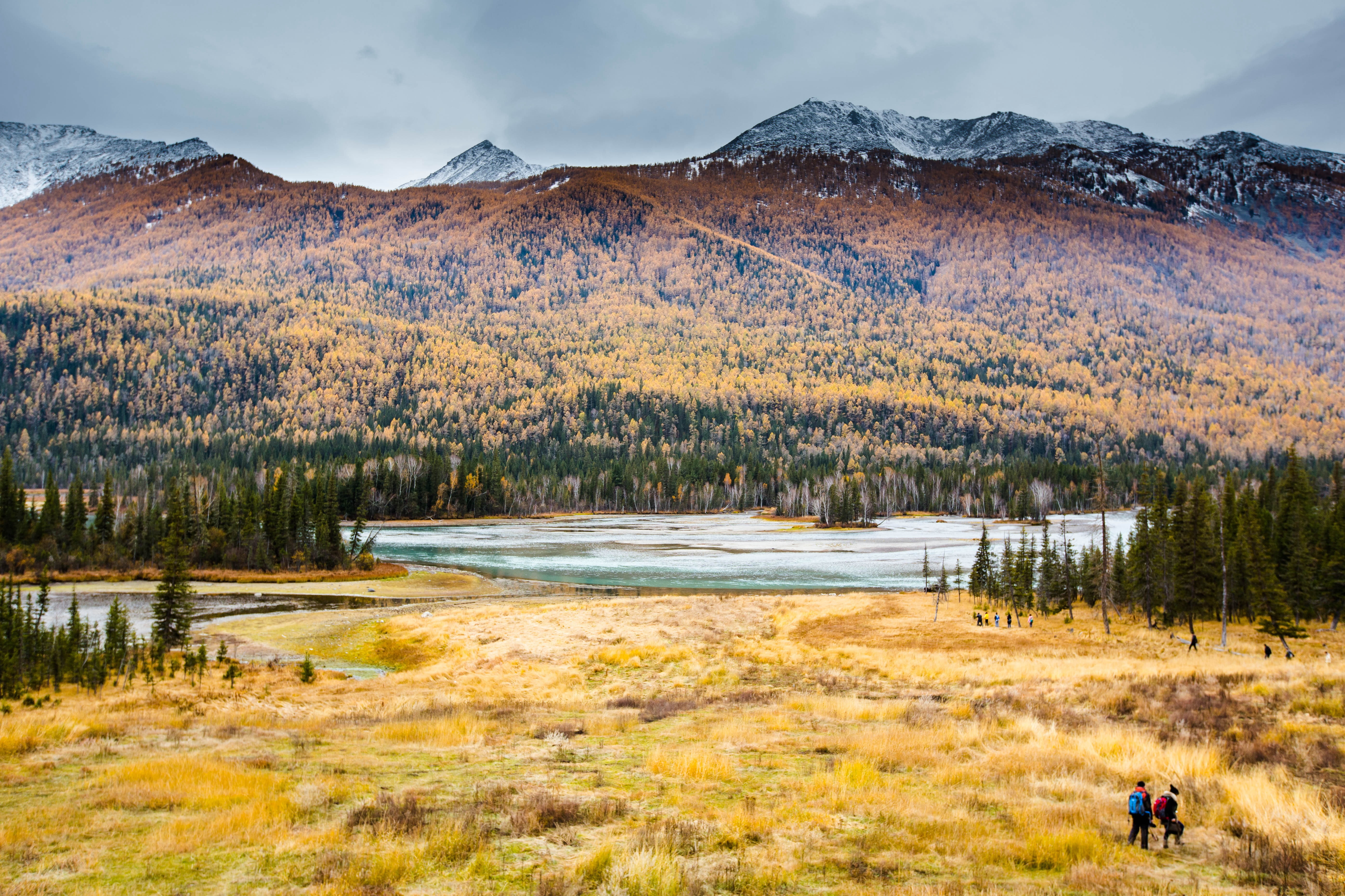 mountain range, scenics - nature, pine woodland, 5K, nature, landscape, china, activity, people, in xinjiang, field, mountain, land, coniferous tree, scenics, HD Wallpaper