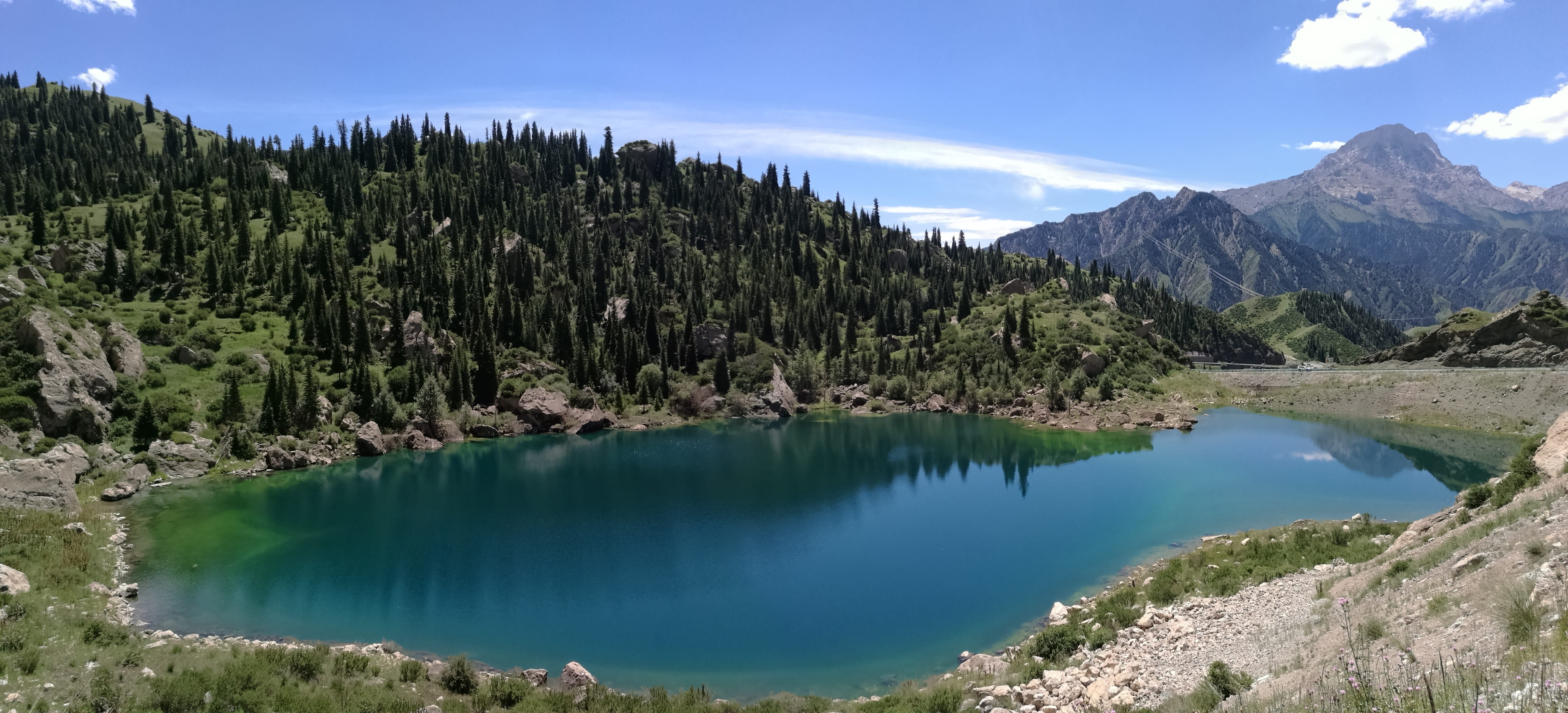 nature, tranquility, 4K, remote, mountain range, china, lake, non-urban scene, pine tree, xinjiang, sky, coniferous tree, forest, outdoors, day, tree, HD Wallpaper
