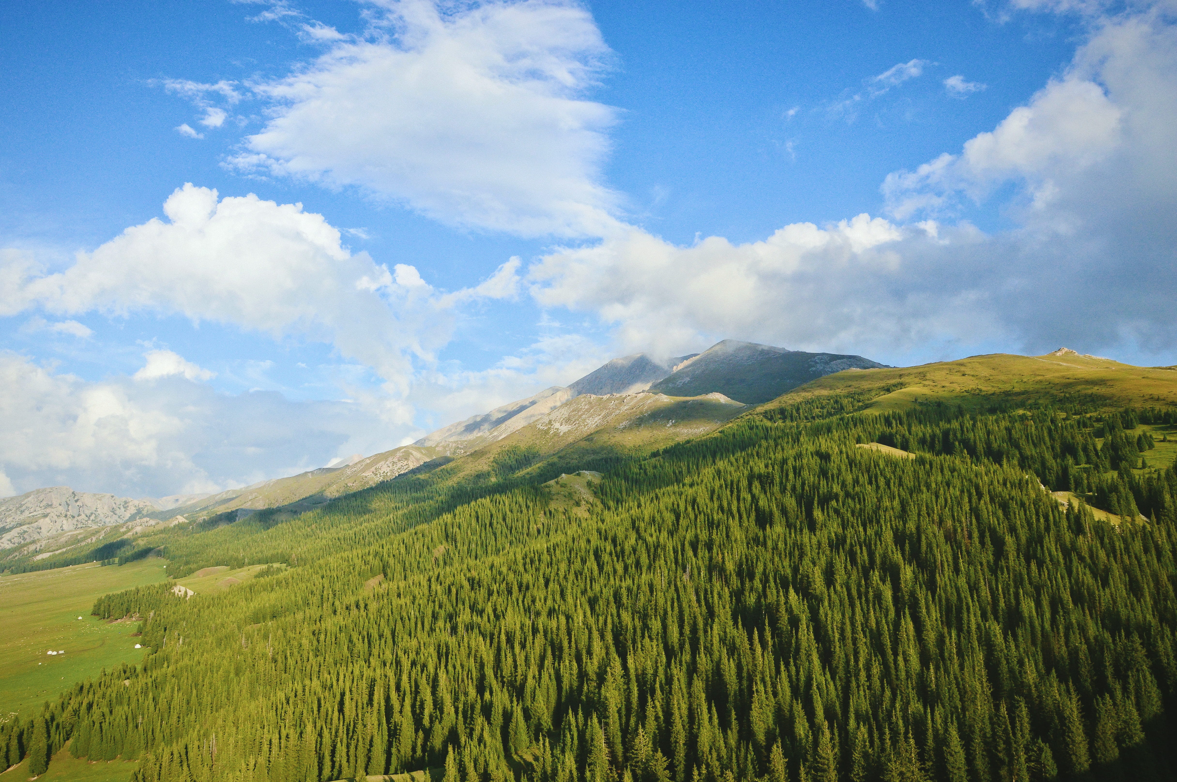 outdoors, mountain, growth, mountain range, environment, forest, cloud - sky, tranquility, trees, xinjiang, sky, plant, day, tranquil scene, land, field, HD Wallpaper