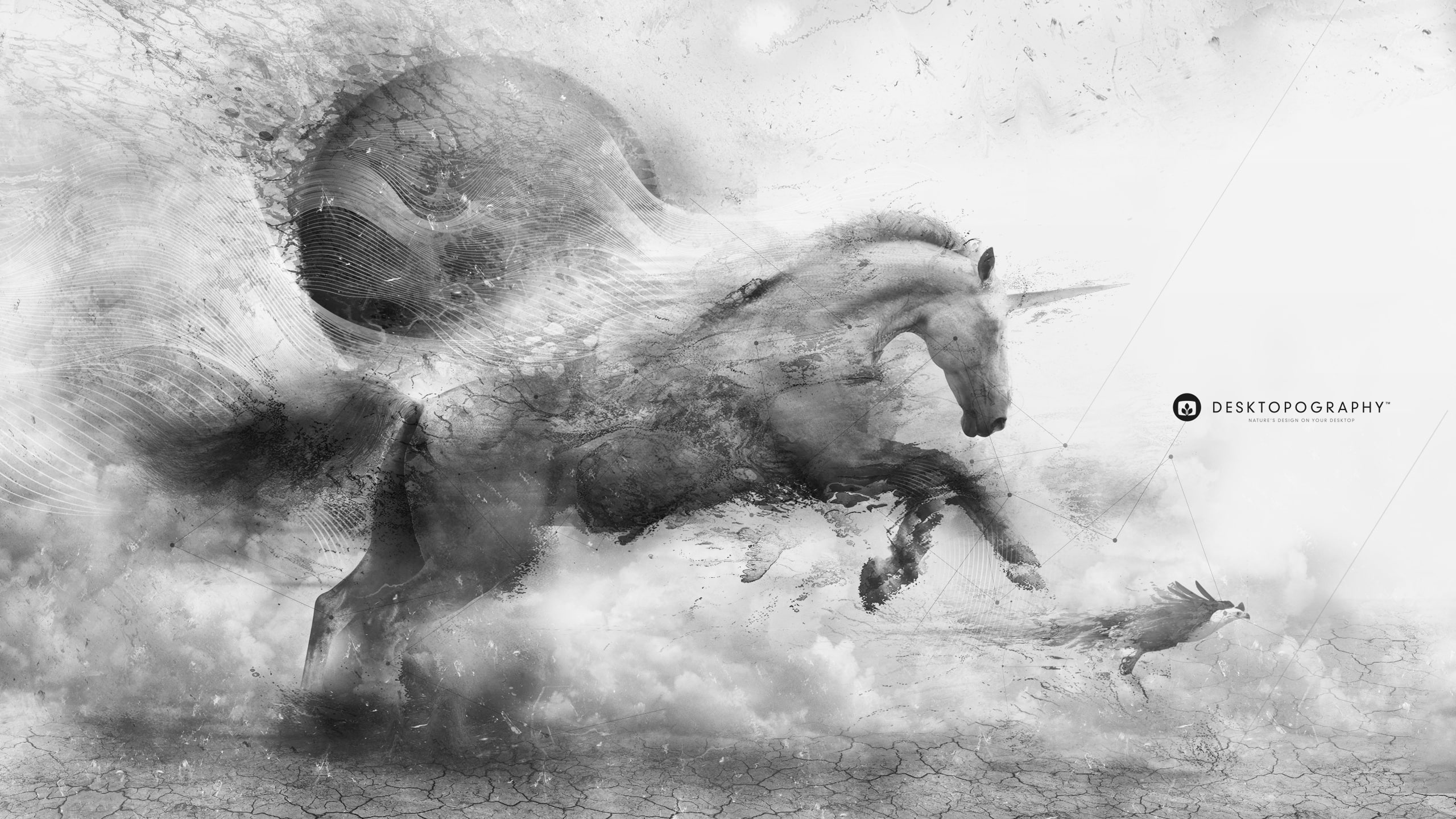 power in nature, cracked, illustration, day, desktopography, vertebrate, water, animal wildlife, motion, horse, sea, one animal, outdoors, running, underwater, HD Wallpaper