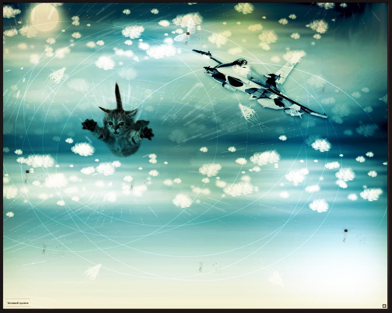 connection, design, no people, digital composite, design Element, tabby, illustration, nature, aviation, spider, communication, happiness, glowing, wireless technology, HD Wallpaper