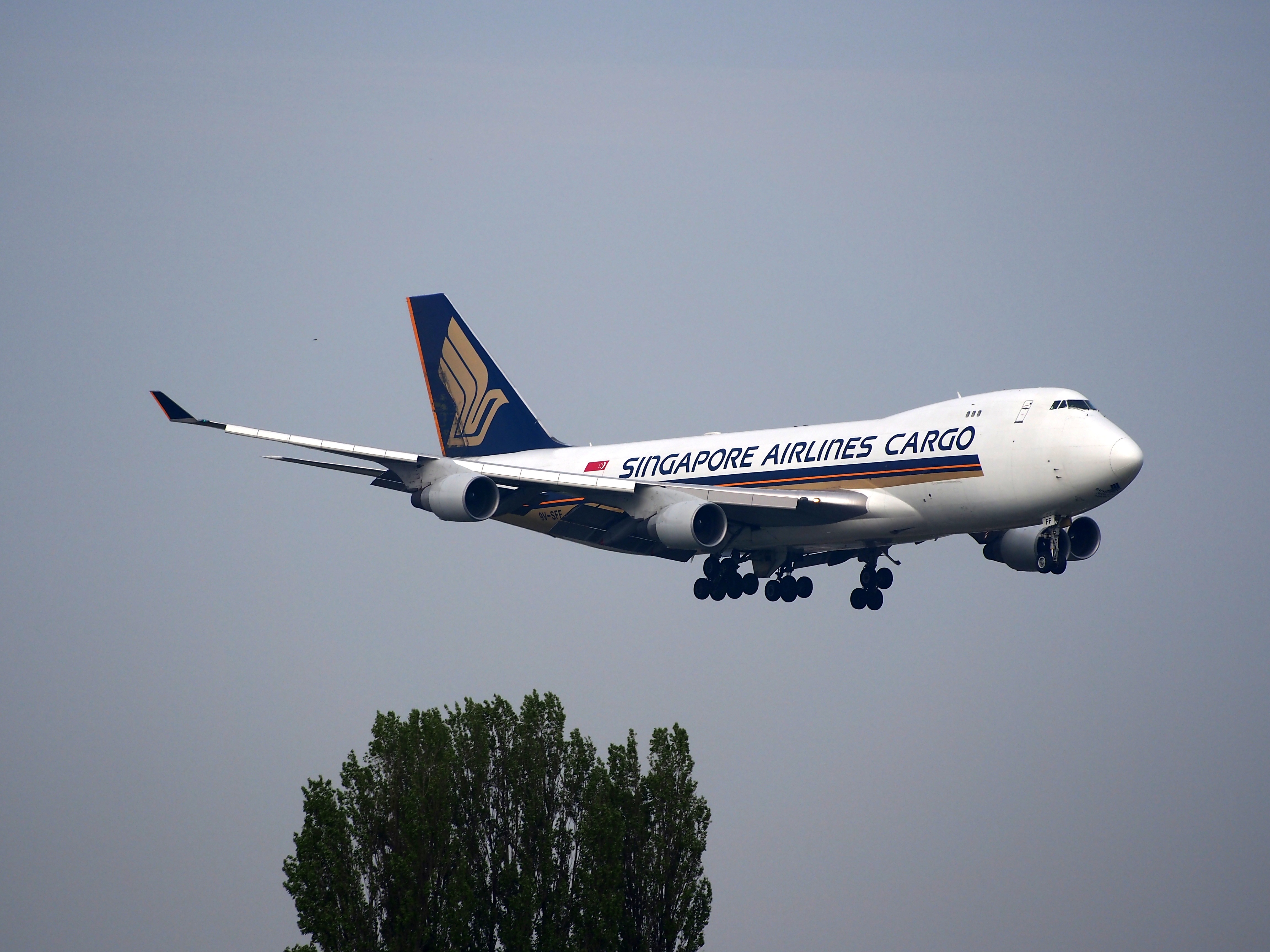 on the move, tree, singapore, day, fighter plane, mode of transportation, travel, copy space, airplane, motion, singapore airlines, aerospace industry, HD Wallpaper