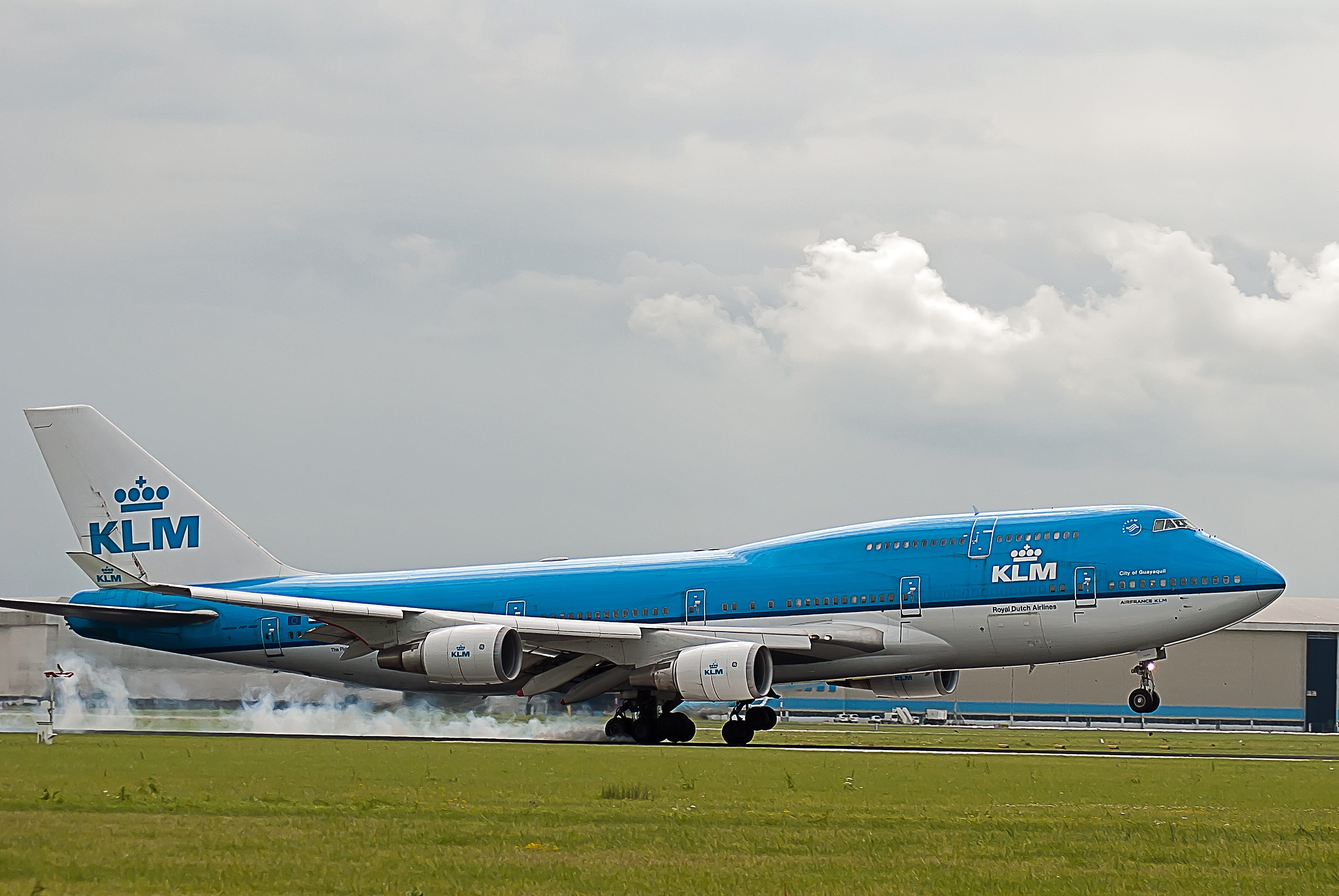 grass, airplane, cloud - sky, stationary, transport, air vehicle, aerospace industry, klm, outdoors, travel, nature, flying, plane, 4K, jet, day, airport runway, HD Wallpaper