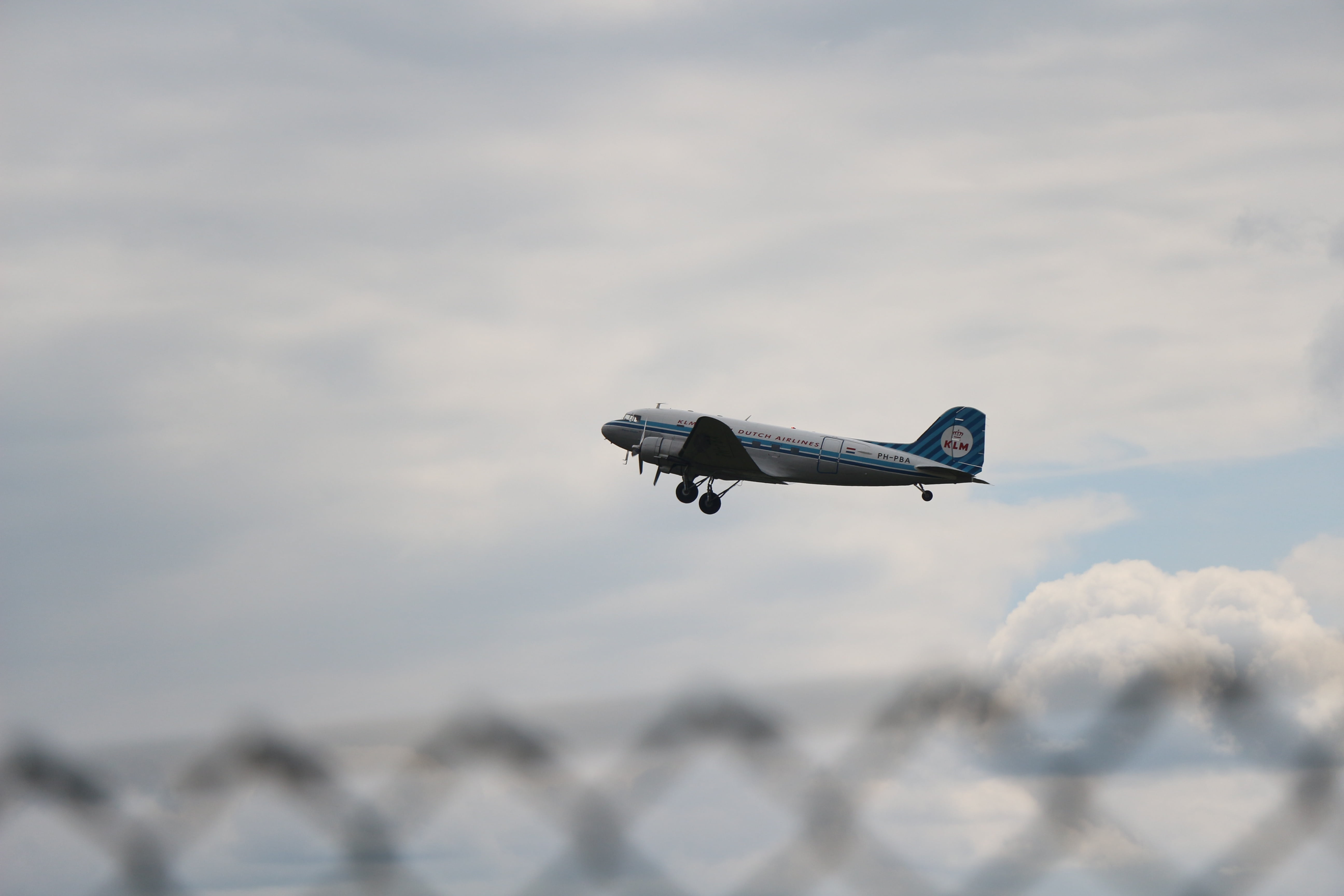 flying, white, flight, low angle view, motion, animals in the wild, aviation, mode of transportation, air vehicle, aerospace industry, day, areoplane, airplane, HD Wallpaper