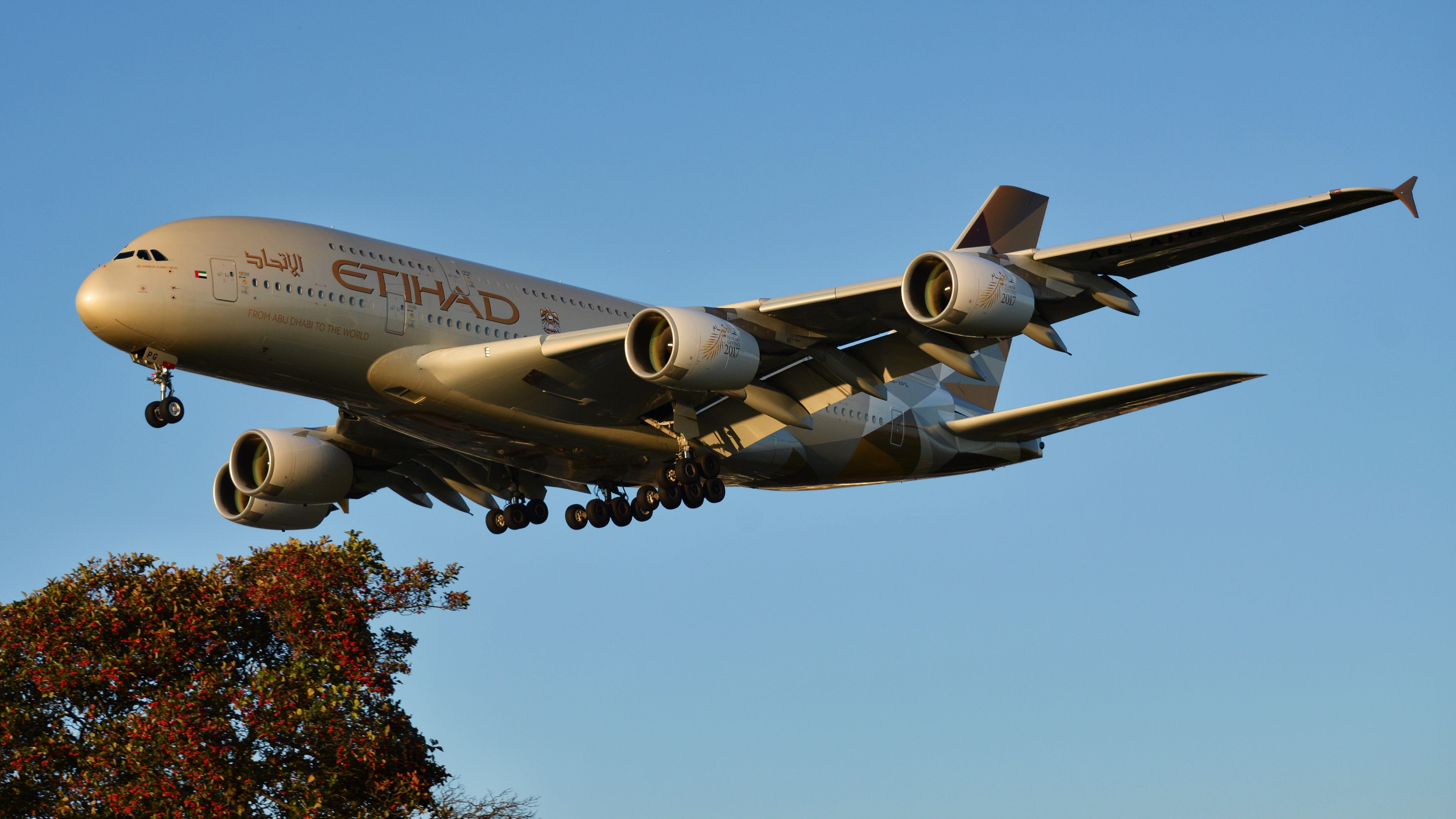 sunny, the plane, blue, flying, aerospace industry, transport, day, tree, jet, flight, etihad, 5K, single object, sky, nature, airbus a380, on the move, HD Wallpaper