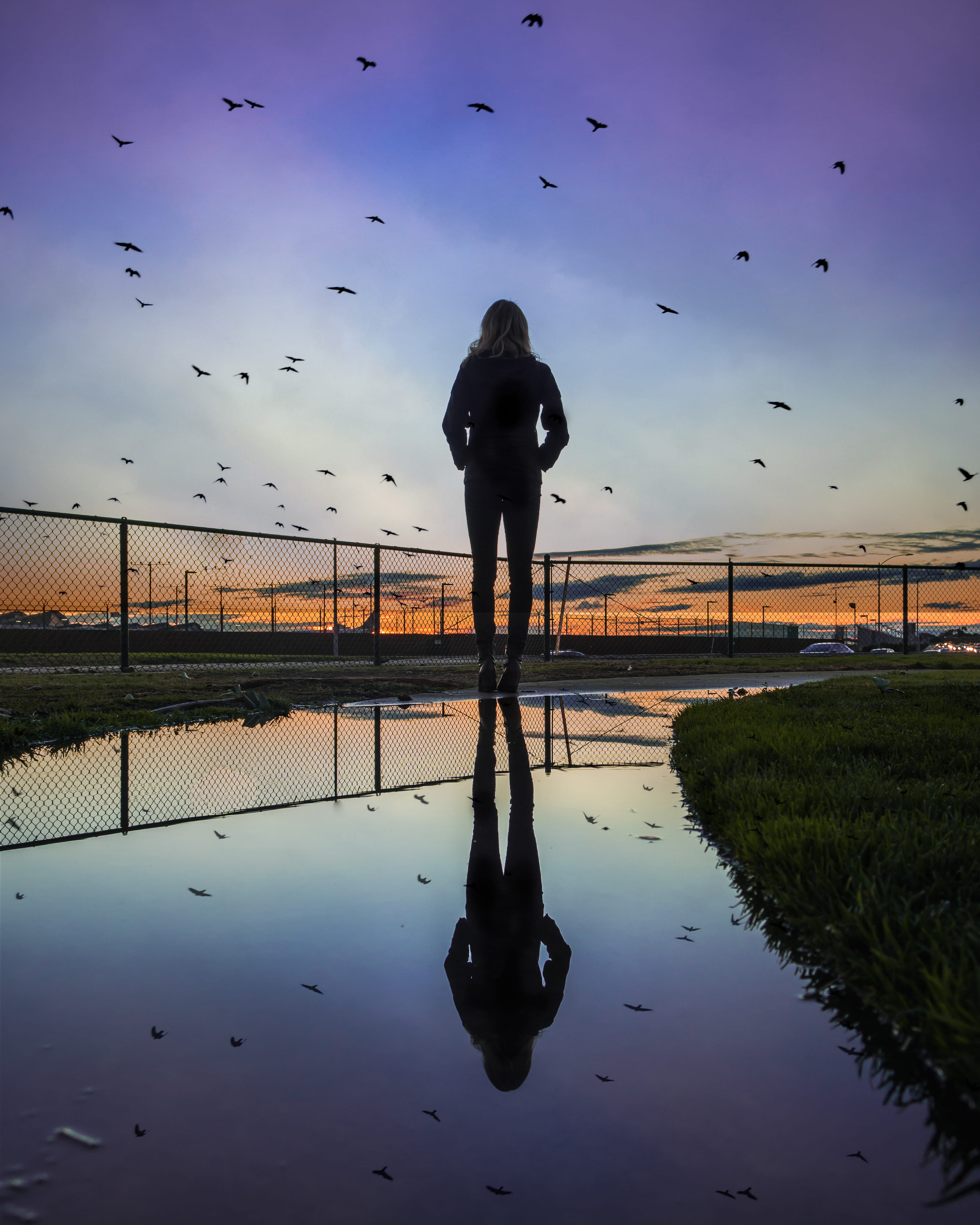 sky, sport, flock of birds, lifestyles, reflection, lax, light, animal, animals in the wild, nature, person, flying, large group of animals, vertebrate, Phone HD Wallpaper