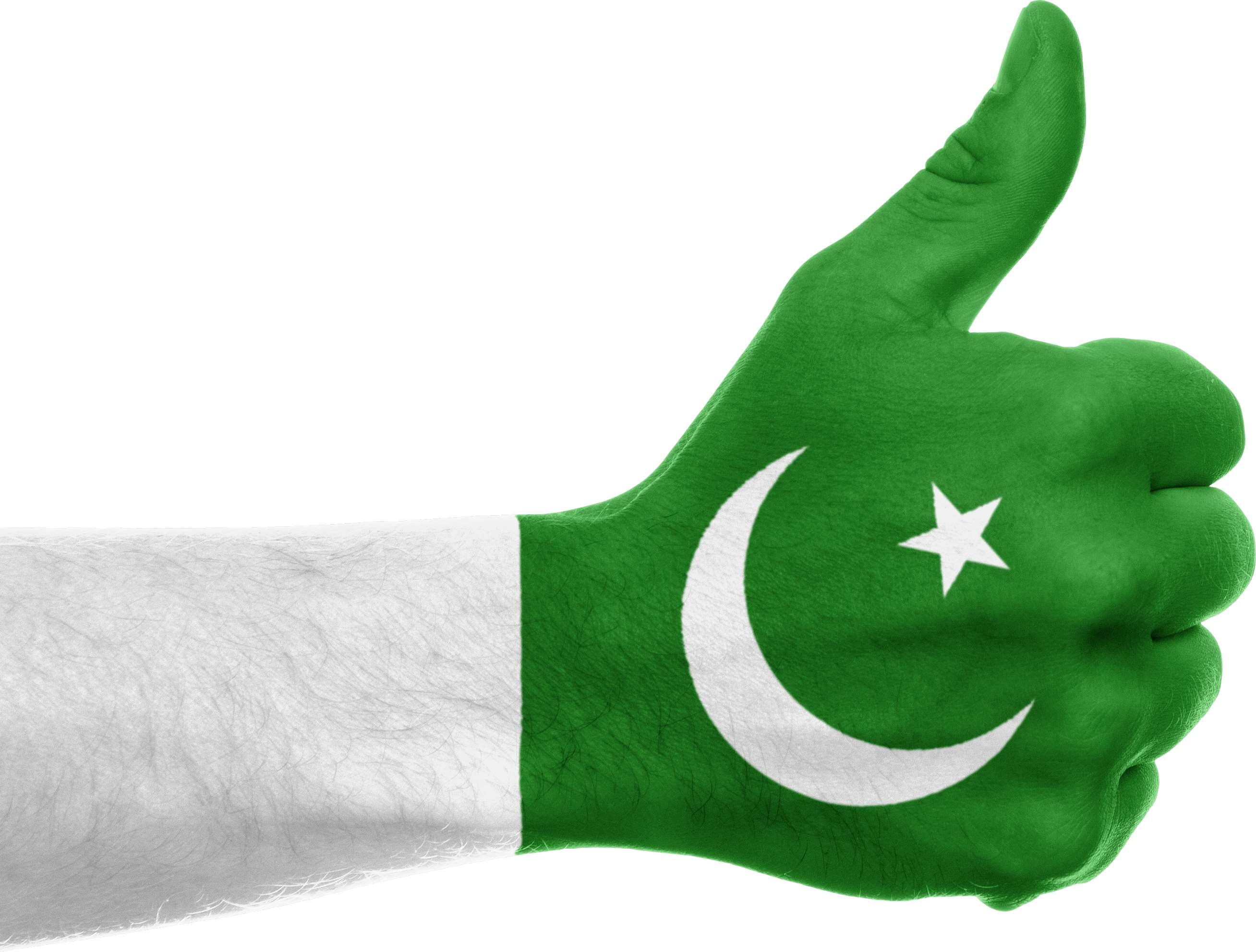 flag, white background, art and craft, indoors, 2K, pakistan, copy space, pride, close-up, human hand, hand, white color, star shape, green color, studio shot, HD Wallpaper