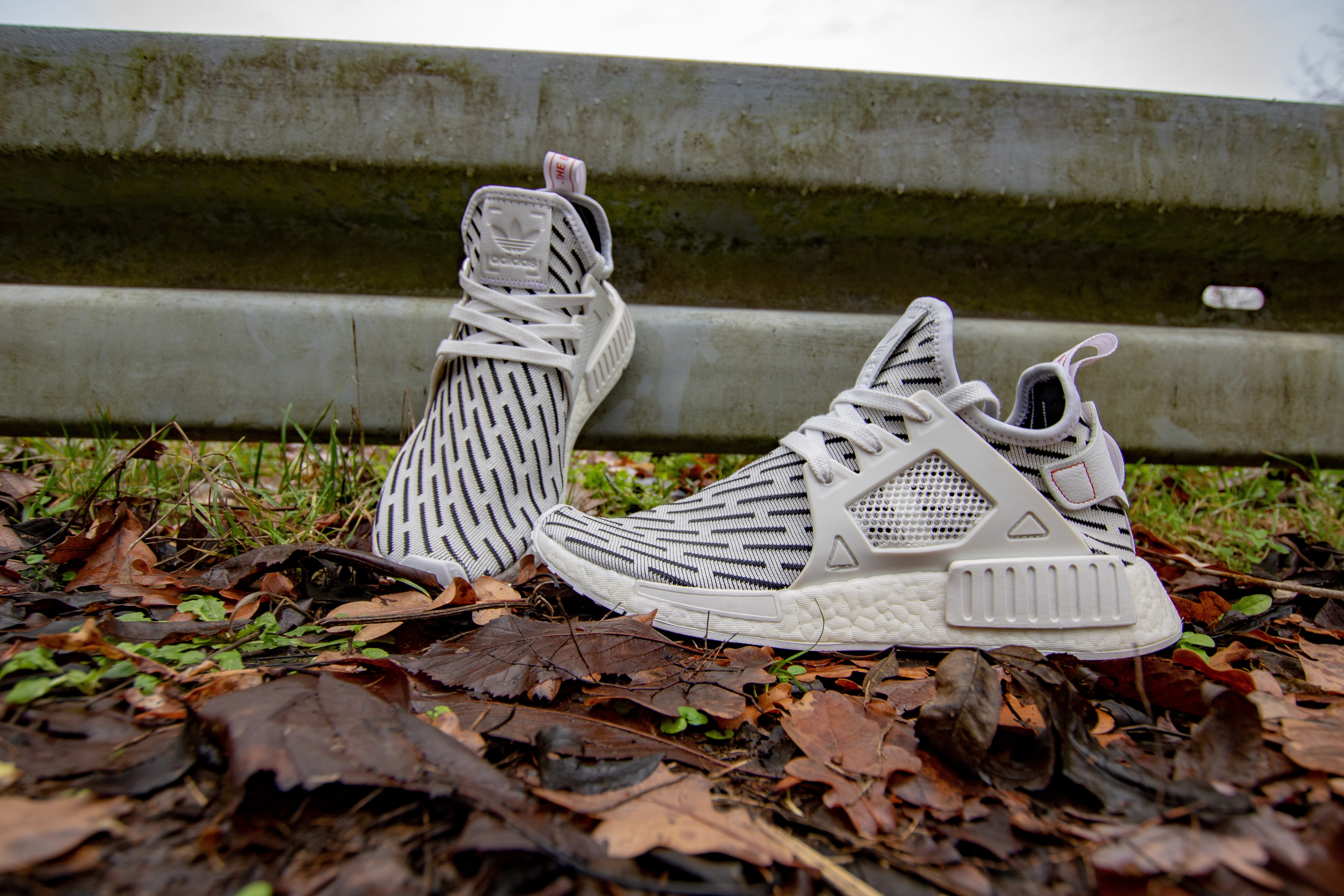 dry, forest, field, plant, shoe, seat, autumn, change, abandoned, absence, no people, day, nmd, land, xr1, 5K, nature, shoes, built structure, outdoors, HD Wallpaper