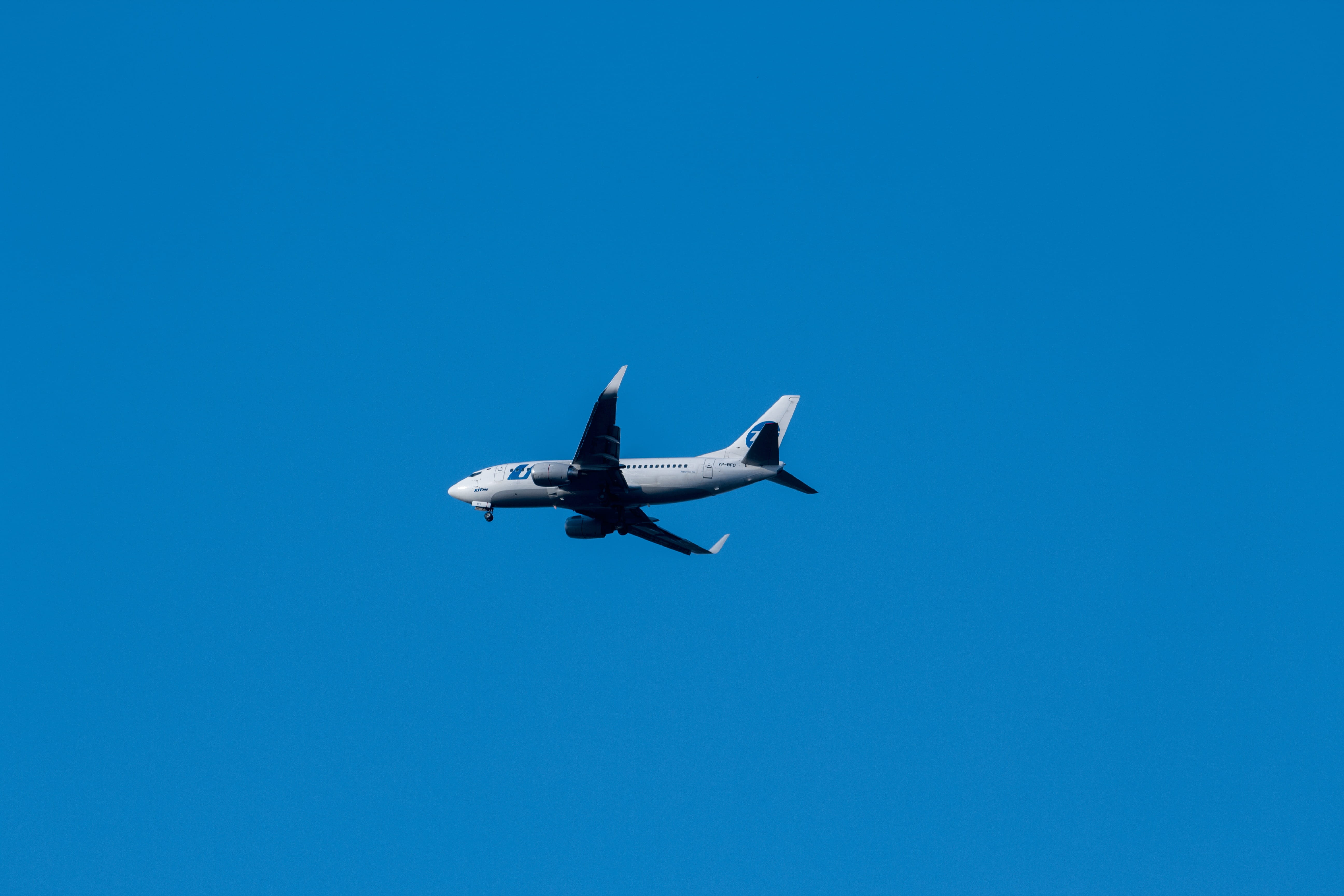 air traffic, vnukovo airport, day, mode of transportation, moscow, sky, animal themes, animal, nature, military, takeoff, airbus, no people, turbine, bird, HD Wallpaper
