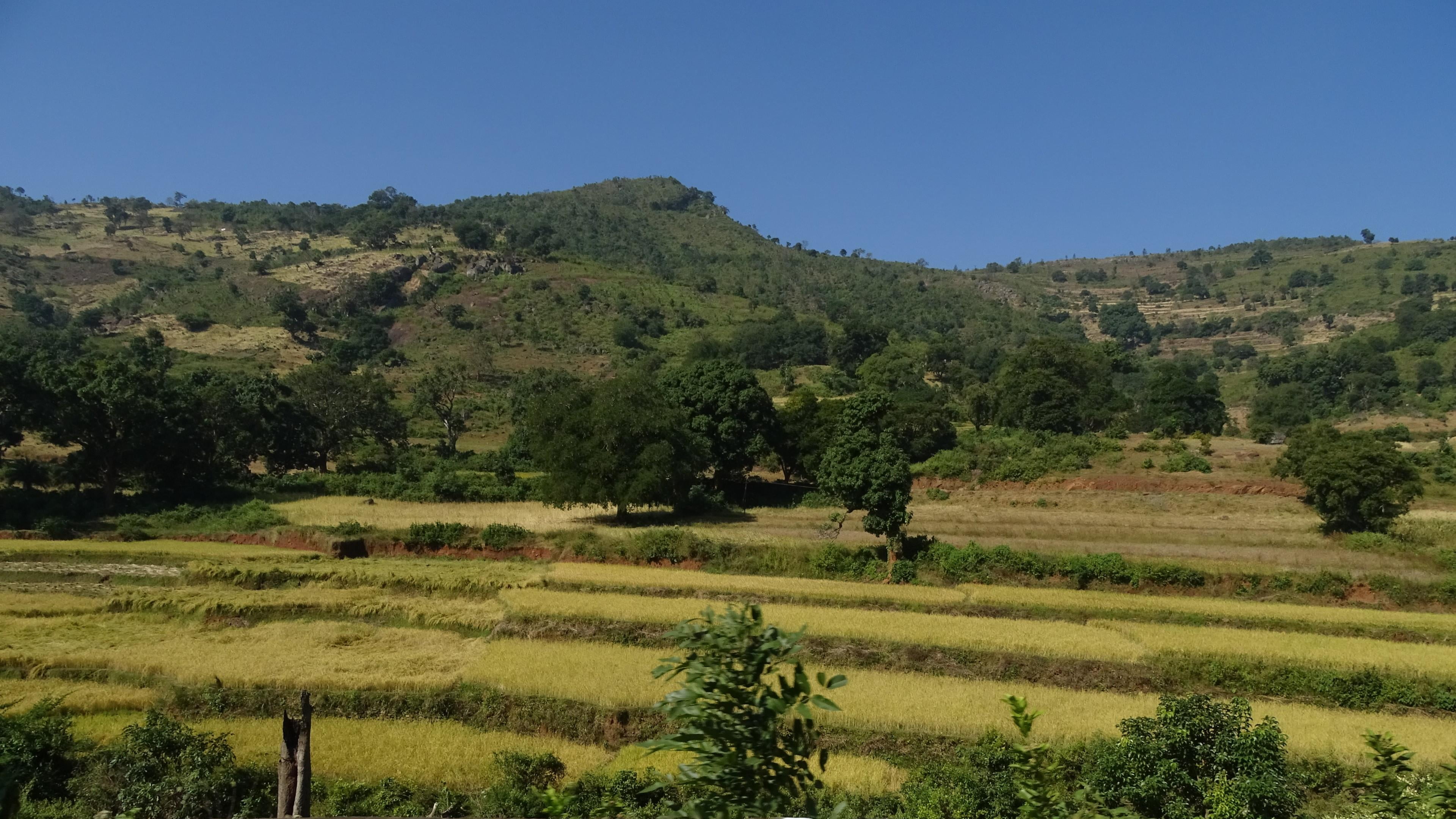 tranquility, rural scene, clear sky, day, valley, agriculture, farm, nature, landscape, scenics - nature, no people, tree, green color, beauty in nature, HD Wallpaper