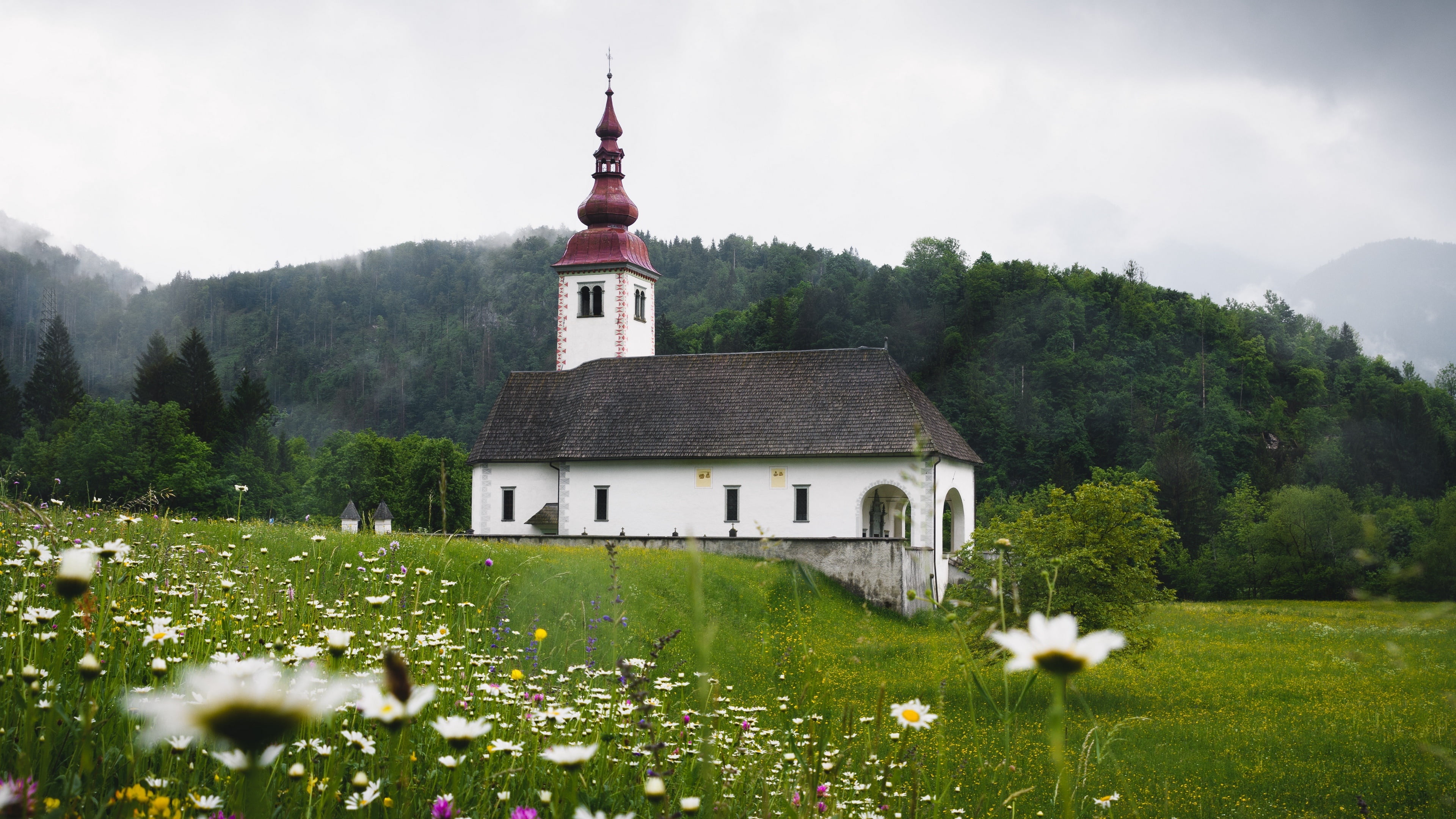 tree, grass, the past, slovenia, church, architecture, building exterior, no people, plant, 4K, landscape, nature, built structure, tourism, highland, HD Wallpaper