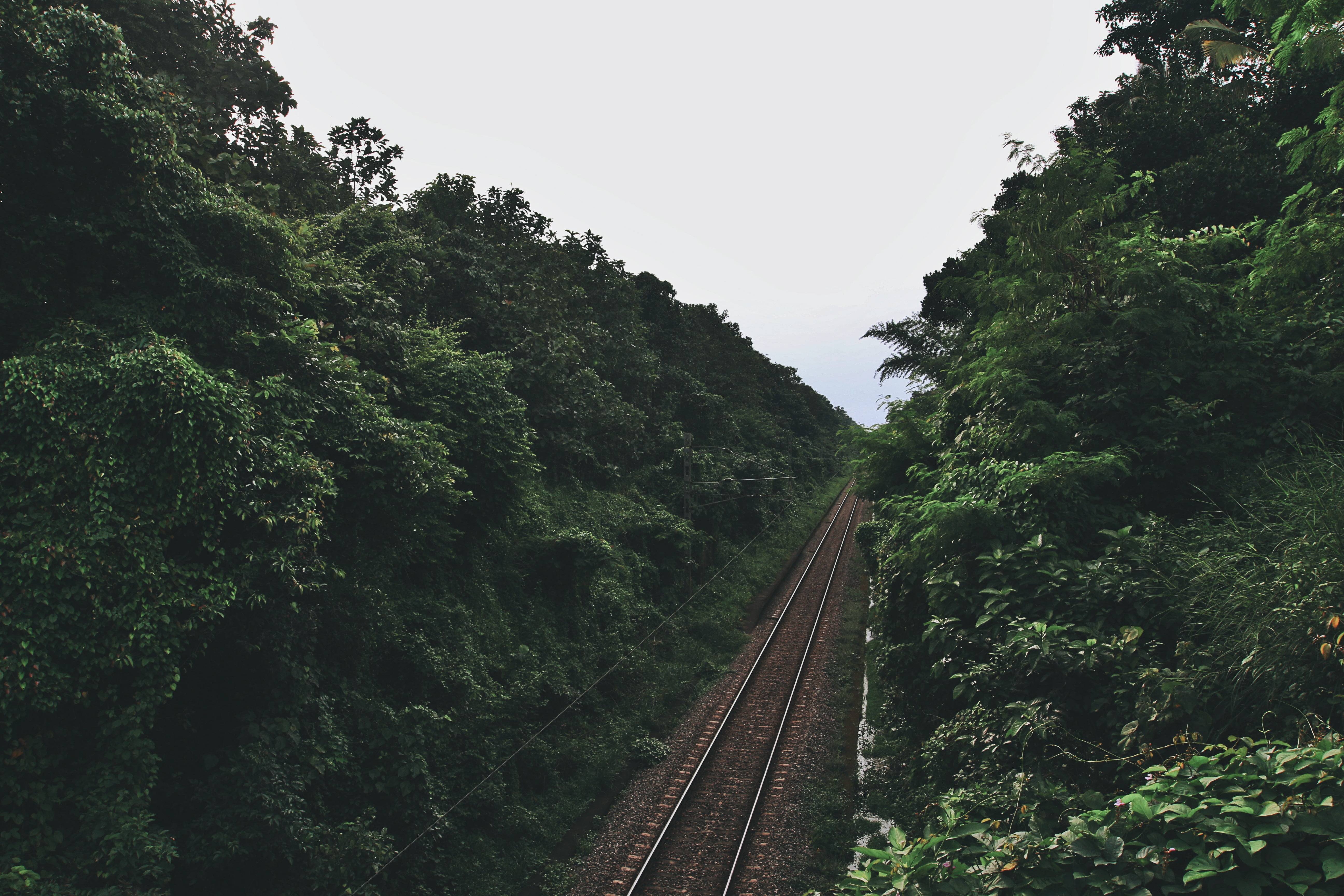 green color, track, steel, sky, rail transportation, diminishing perspective, road, growth, plant, mode of transportation, mode of Transport, railway, nature, HD Wallpaper