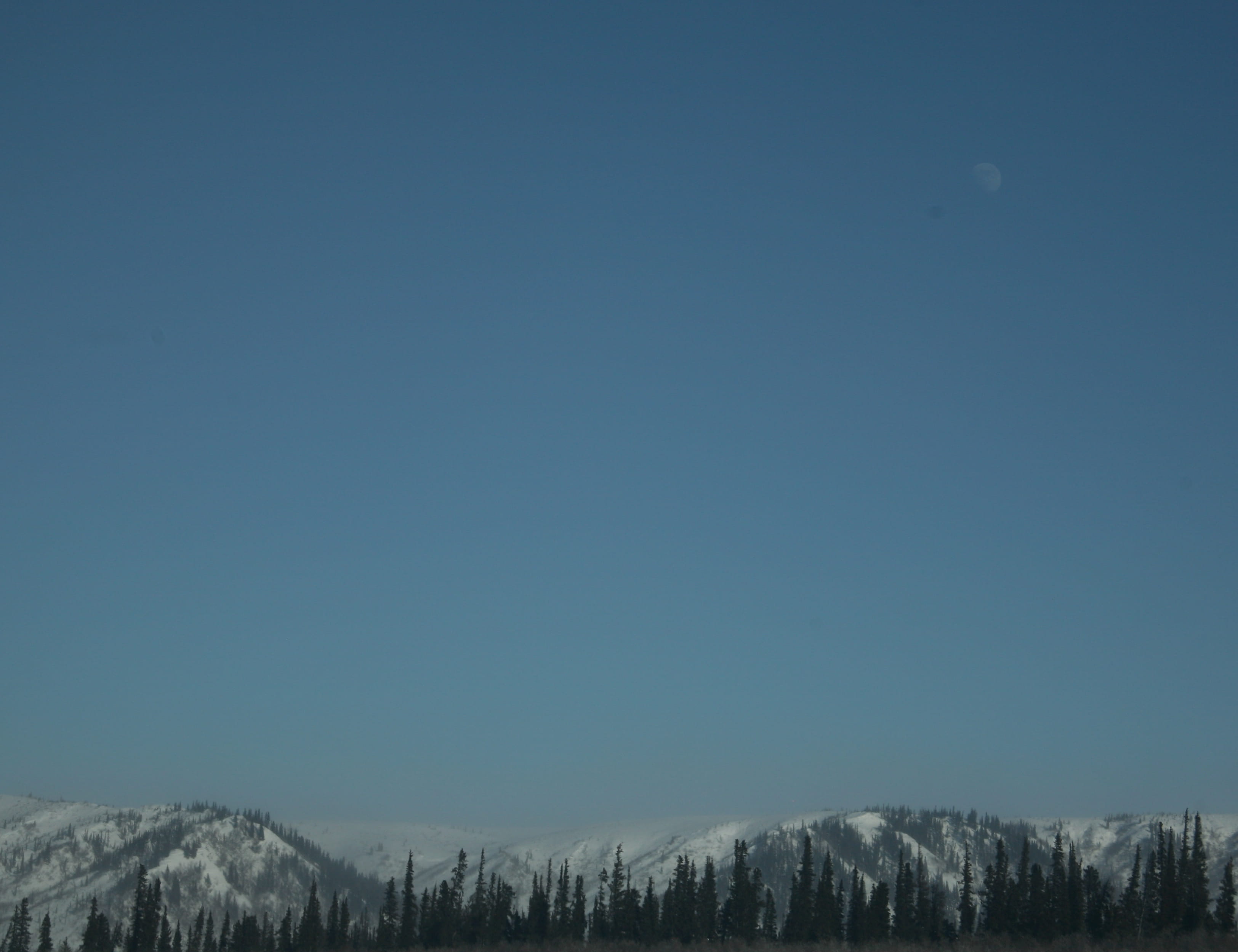 tree, plant, winter, snow, sky, cold temperature, canada, tranquility, mountain range, clear sky, beauty in nature, tranquil scene, no people, snowcapped mountain, HD Wallpaper