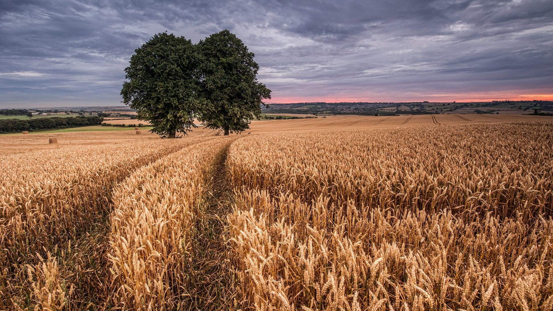 1080P, beautiful nature  for desktop background 1920x1080, HD Wallpaper