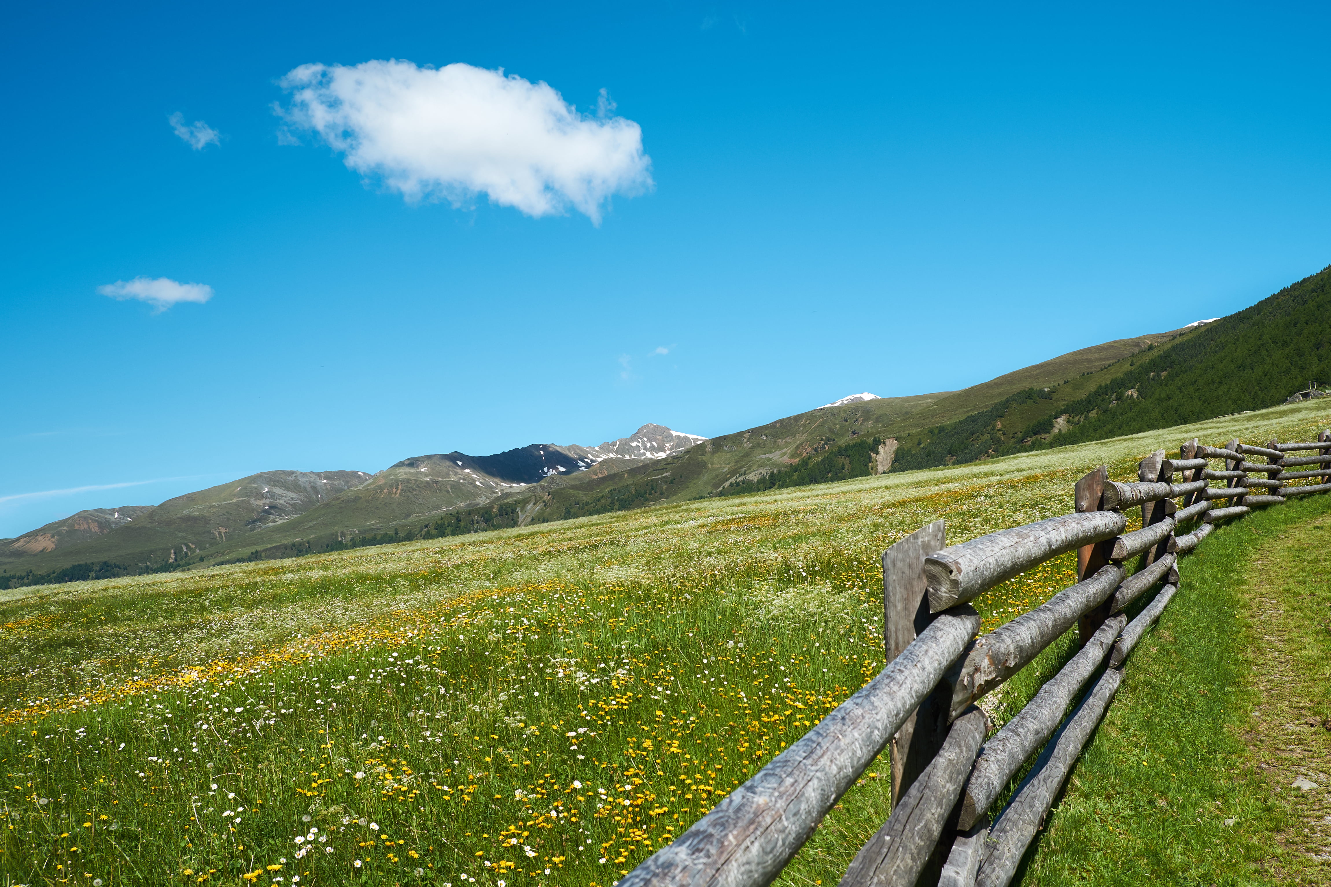 meadow, cloud, grass, schräge, mountains, landscape, V1, 4K, wiese, field, sky, hill, scenics, rural Scene, blue, outdoors, nature, summer, mountain, fence, HD Wallpaper