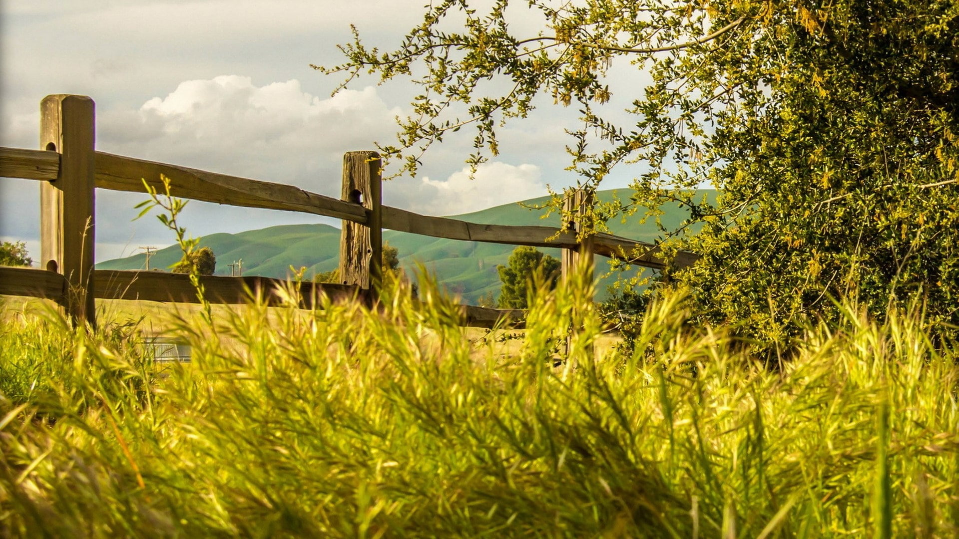 nature, sky, plant, landscape, cloud - sky, beauty in nature, green color, field, tree, tranquility, agriculture, rural scene, beautiful nature  for desktop background 1920x1080, HD Wallpaper