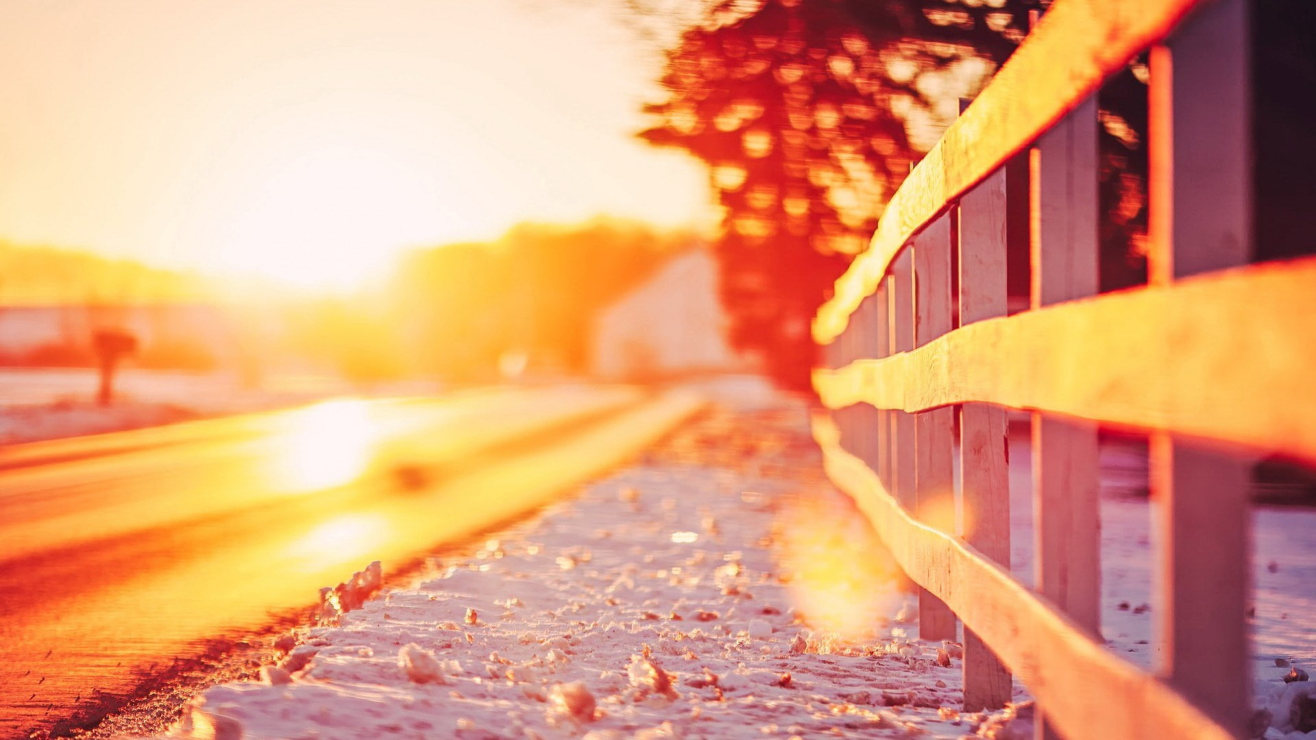 yellow, nature, change, autumn, rail transportation, tree, day, beautiful nature  for desktop background 1920x1080, transportation, outdoors, plant, the way forward, HD Wallpaper