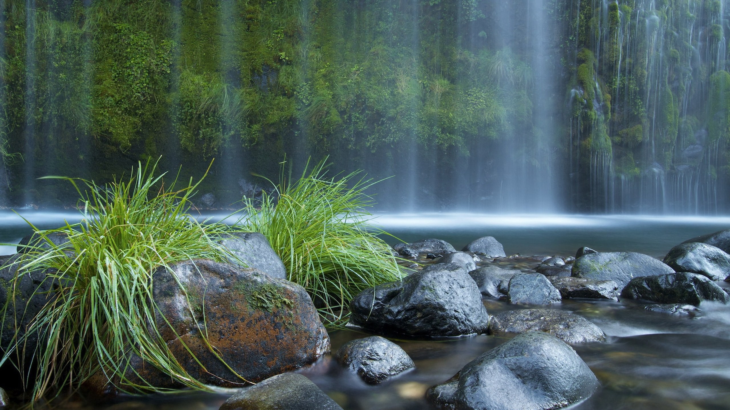 day, rock, nature beauty desktop hd images 2560x1440, motion, nature, land, 2K, flowing water, outdoors, plant, long exposure, beauty in nature, green color, HD Wallpaper