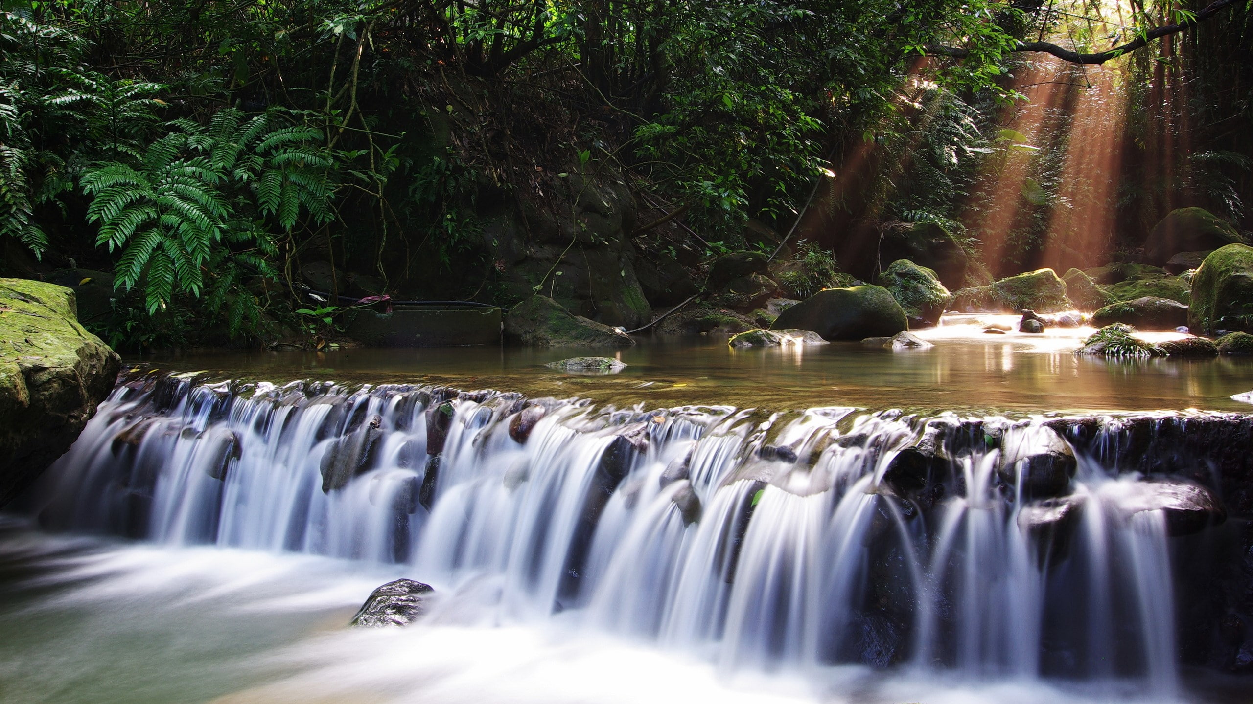 nature beauty desktop hd images 2560x1440, 2K, HD Wallpaper