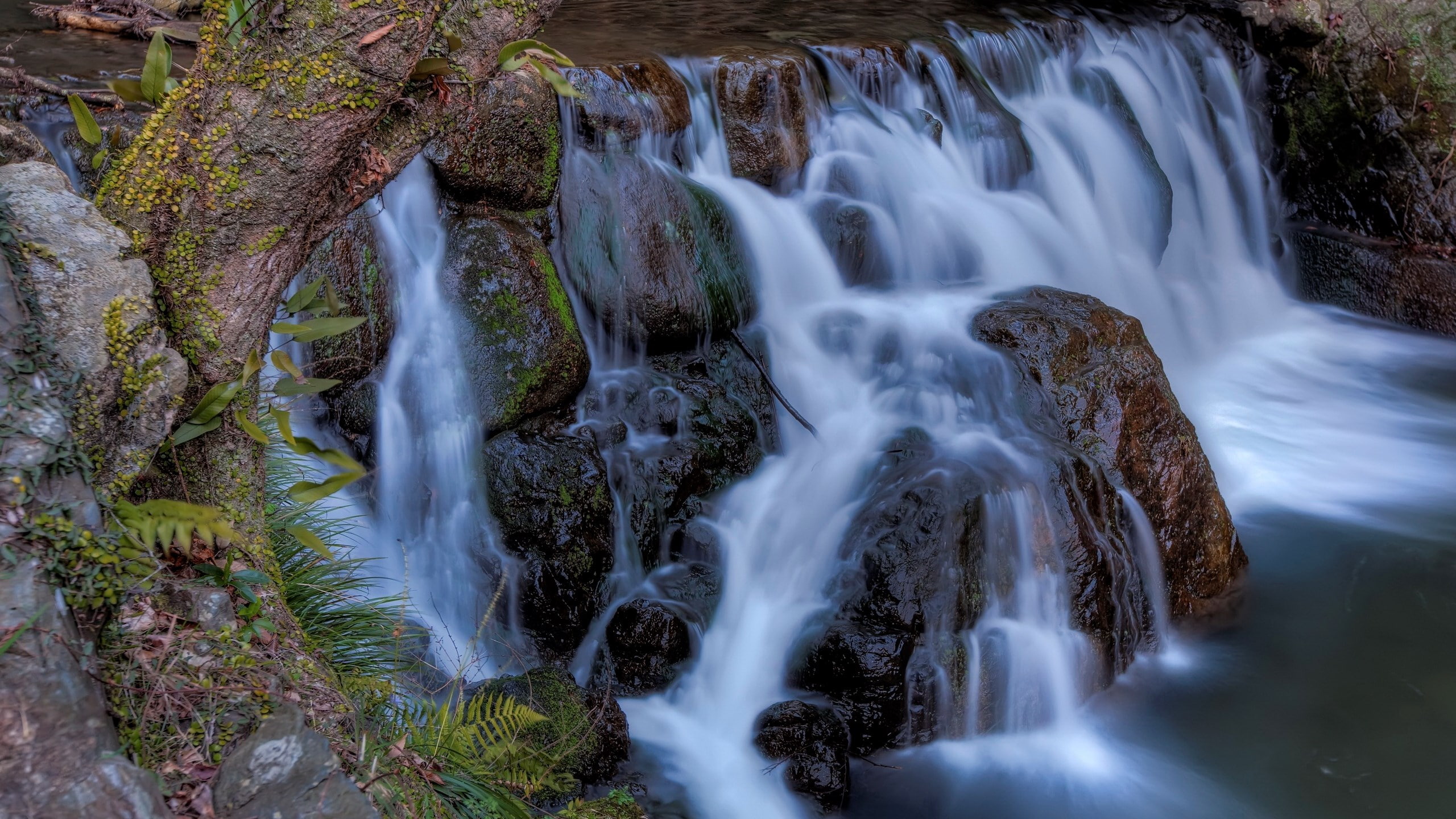 nature beauty desktop hd images 2560x1440, 2K, HD Wallpaper