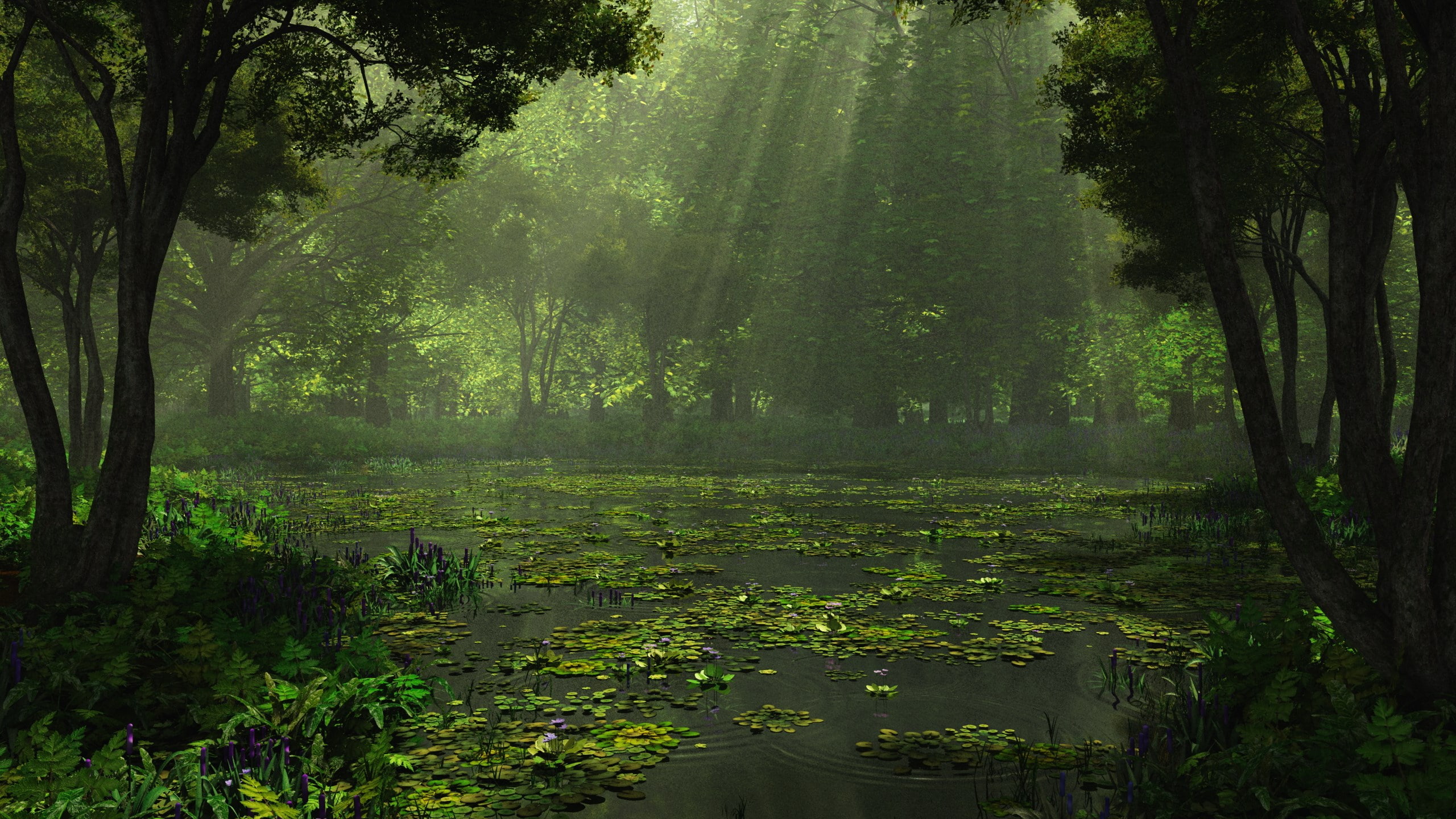forest, plant, nature, sunbeam, tree, landscape, 2K, scenics - nature, beauty in nature, woodland, outdoors, fog, growth, water, tranquil scene, swamp, HD Wallpaper