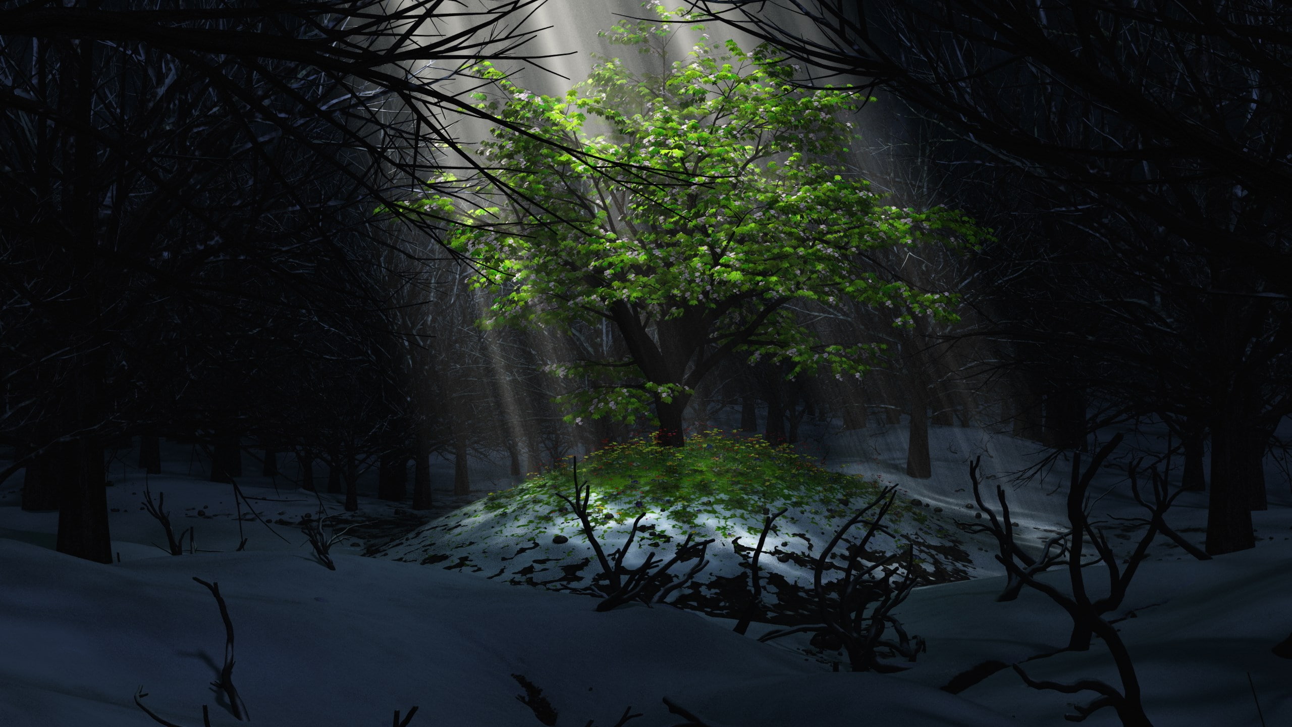 2K, download nature  pack 2560x1440, HD Wallpaper