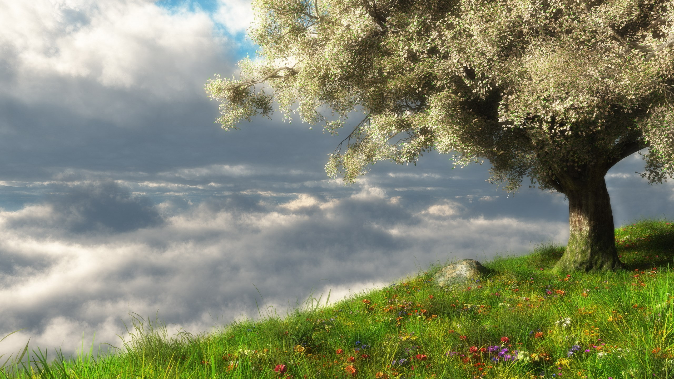 no people, growth, scenics - nature, beauty in nature, flowering plant, tranquil scene, land, outdoors, field, flower, cloud - sky, day, grass, sunlight, HD Wallpaper
