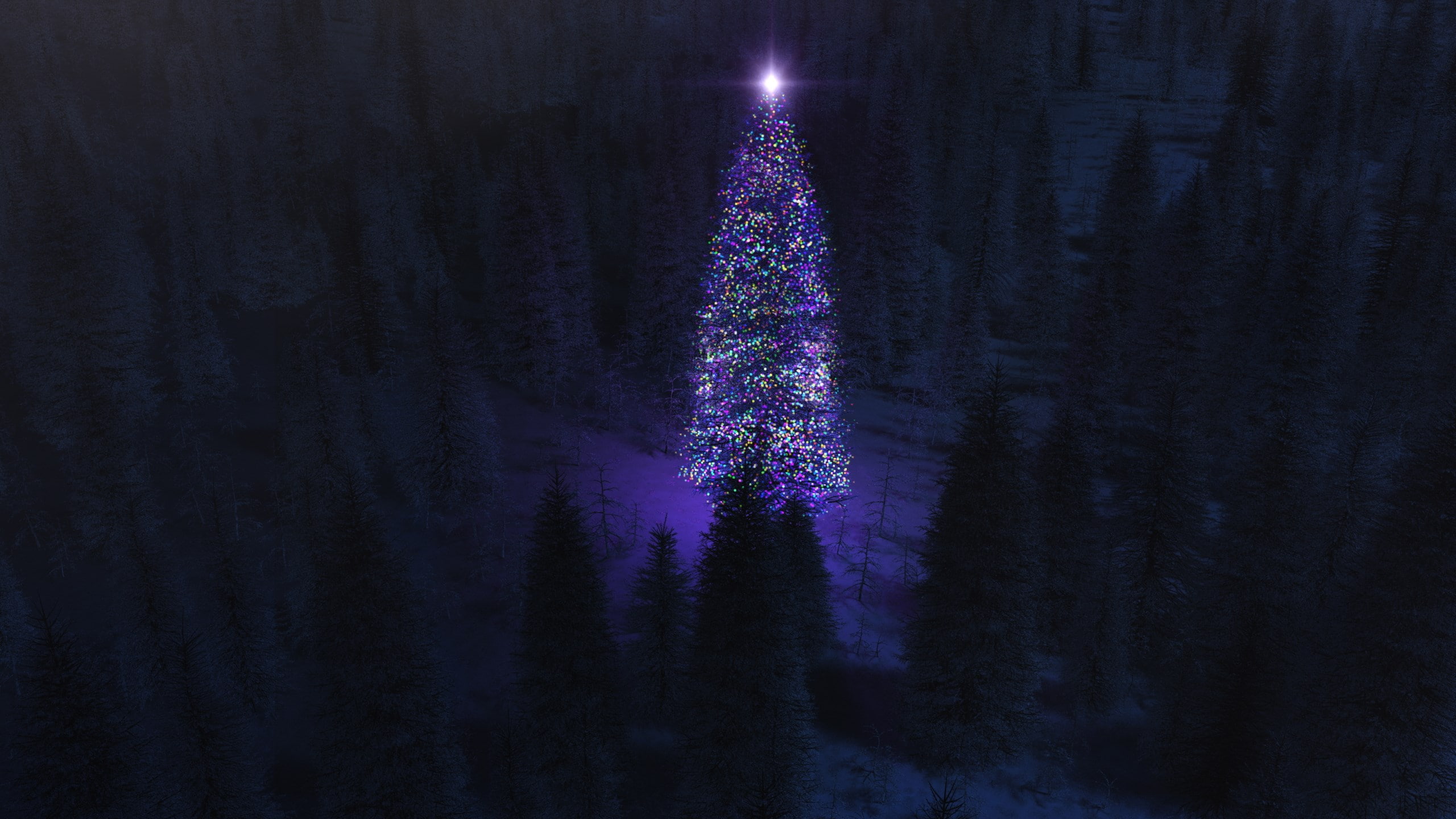 celebration, christmas, nightlife, purple, illuminated, growth, night, 2K, plant, nature, tree, light, christmas tree, dark, forest, land, no people, lighting equipment, HD Wallpaper