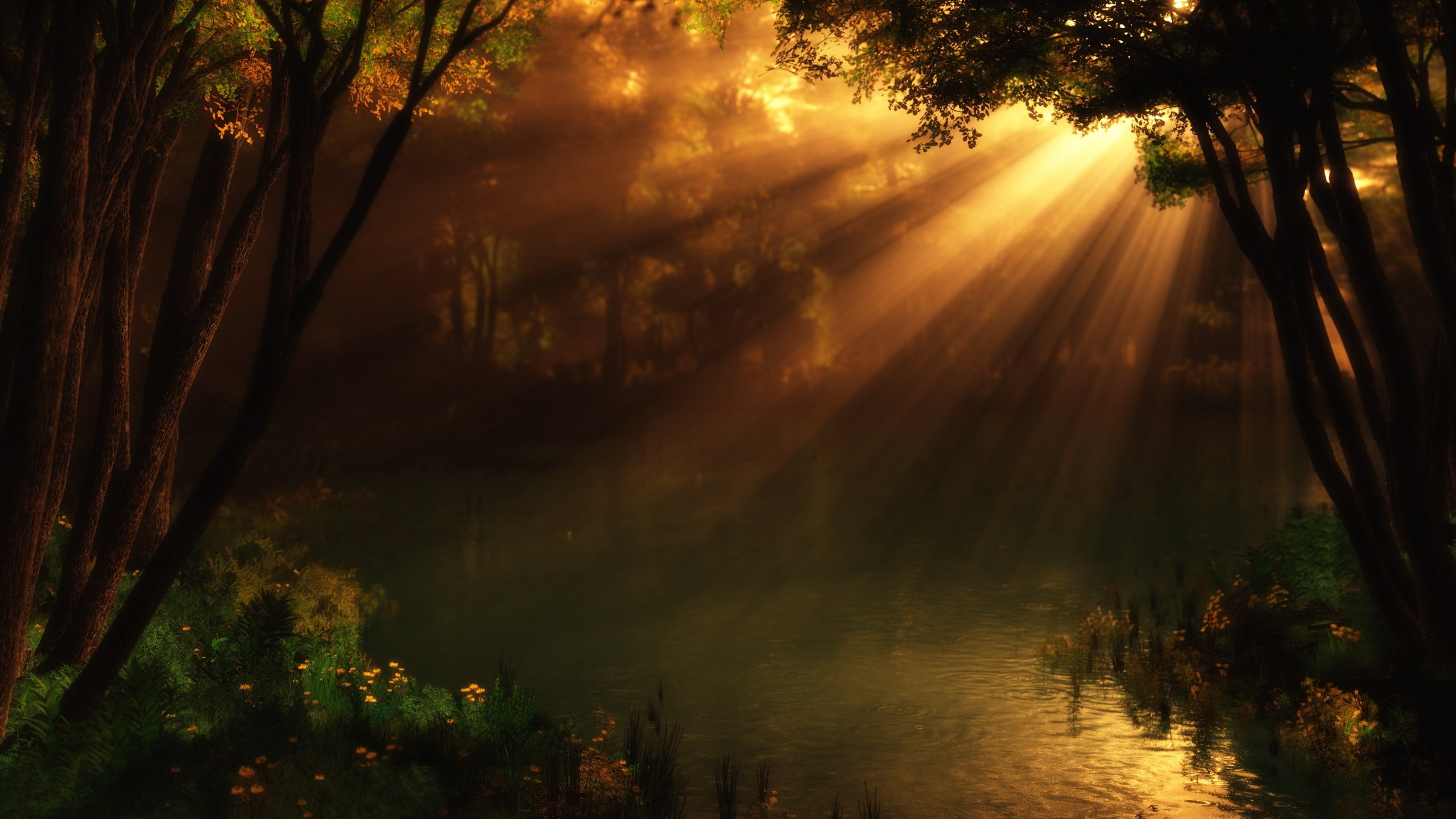 sunset, water, scenics - nature, sky, sunlight, no people, non-urban scene, tranquil scene, download nature  pack 2560x1440, growth, forest, tranquility, HD Wallpaper