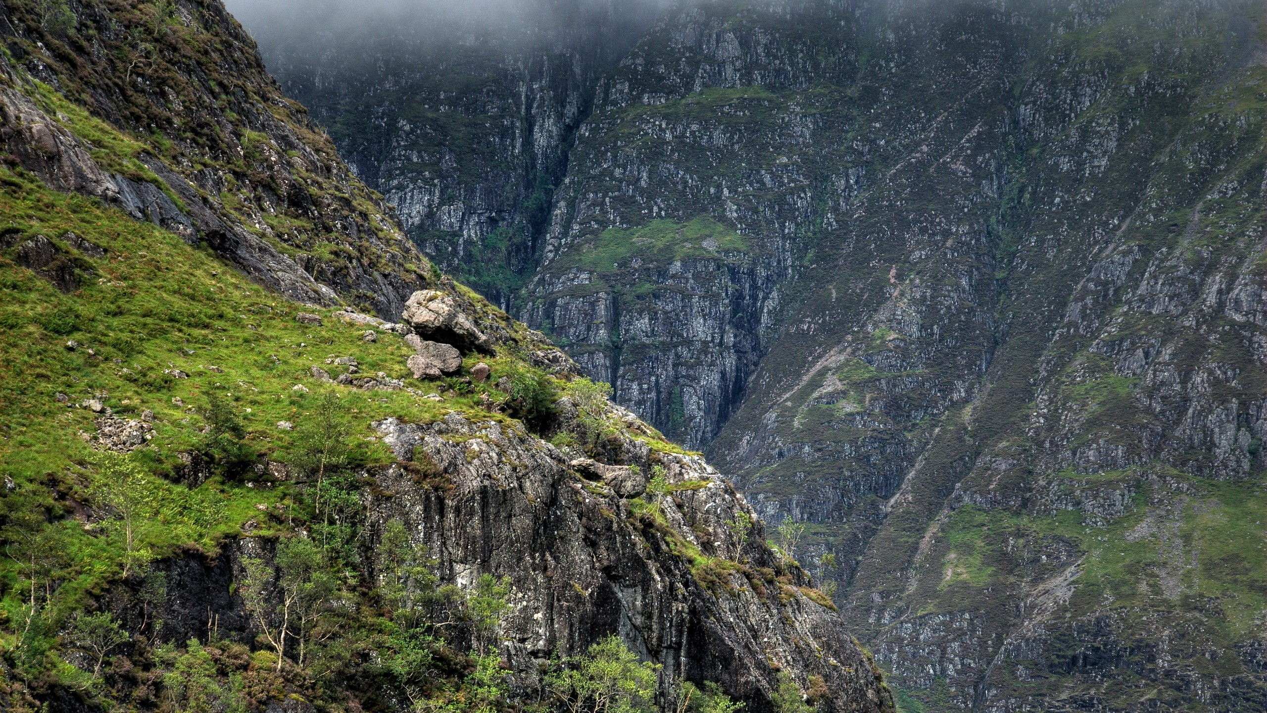 tranquil scene, non-urban scene, tree, fog, cliff, scenics - nature, plant, formation, download nature  pack 2560x1440, environment, mountain, rock formation, HD Wallpaper