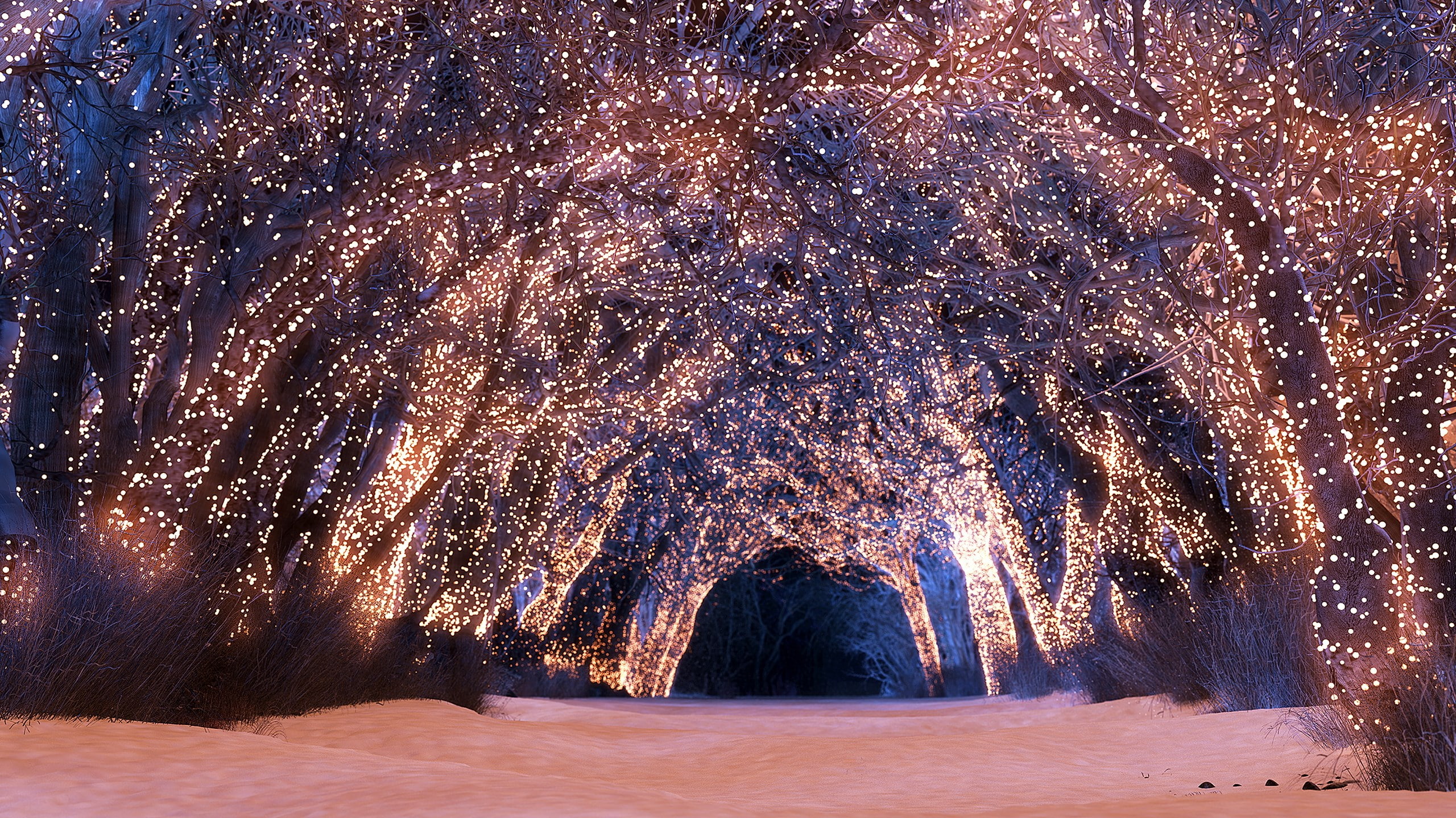 environment, winter, travel destinations, nature, direction, snowing, download nature  pack 2560x1440, the way forward, outdoors, beauty in nature, architecture, HD Wallpaper