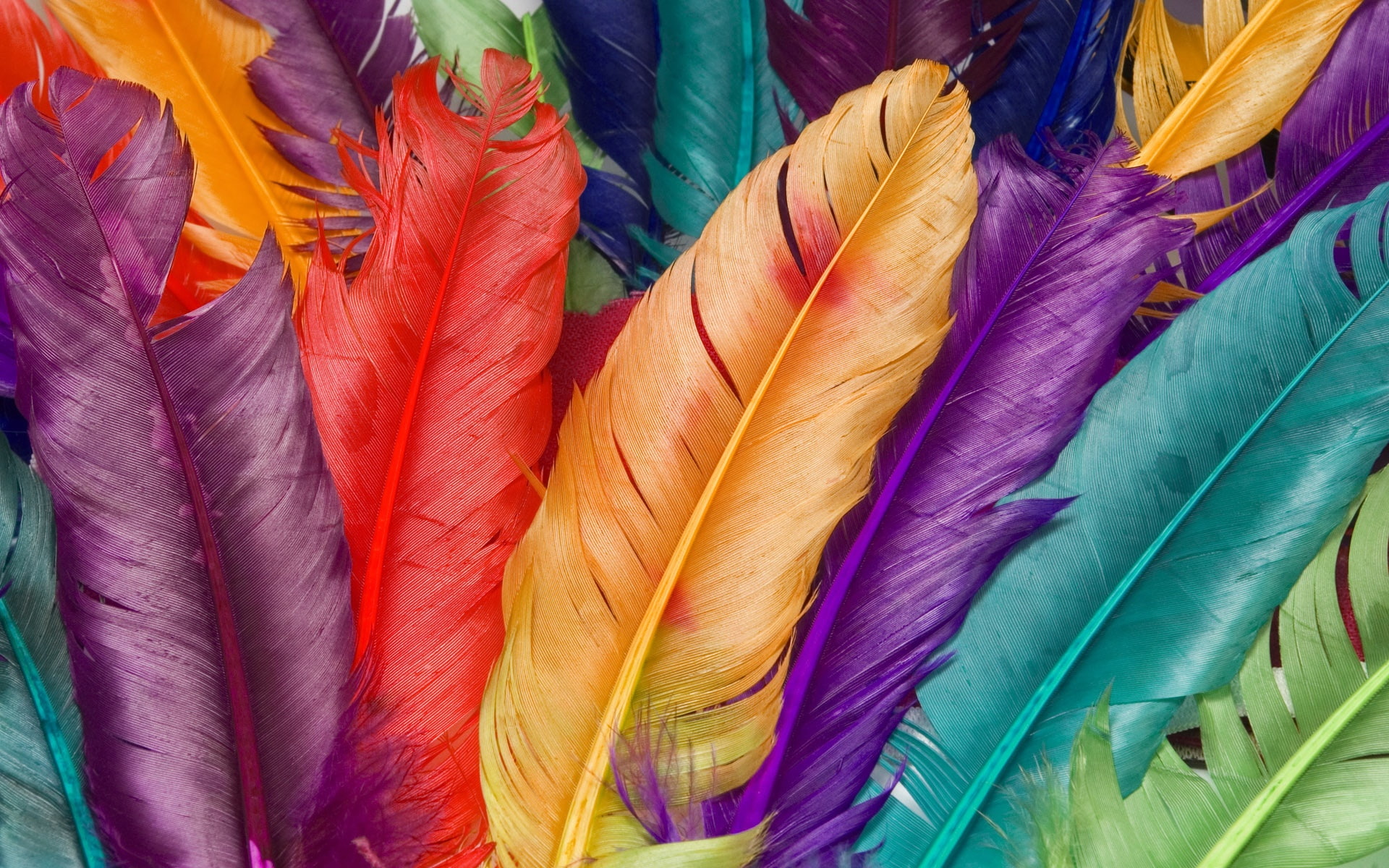 1080P, Feathers, 3D, feather, collections, artificial, d, Colorful, HD Wallpaper