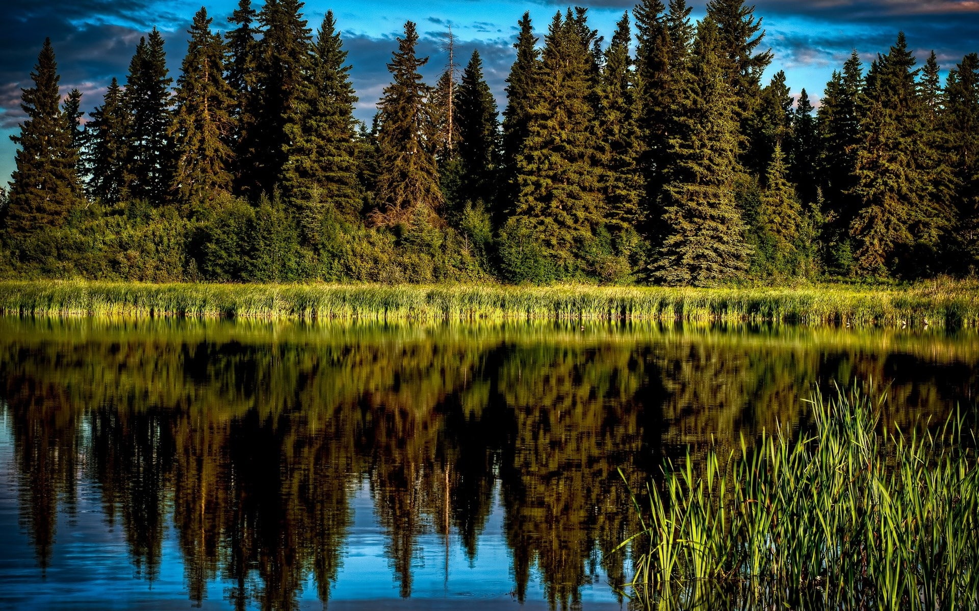 no people, scenics - nature, reflection, lake, day, water, grass, reflection lake, outdoors, green color, tranquil scene, tranquility, plant, beauty in nature, HD Wallpaper