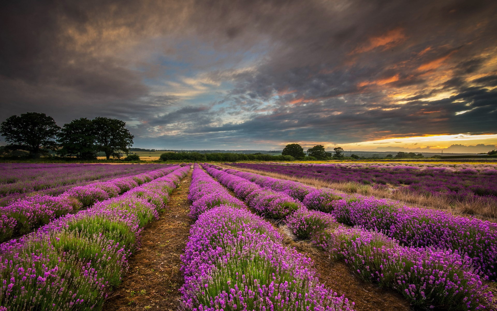 1080P, backgrounds for computer nature 1920x1200, HD Wallpaper