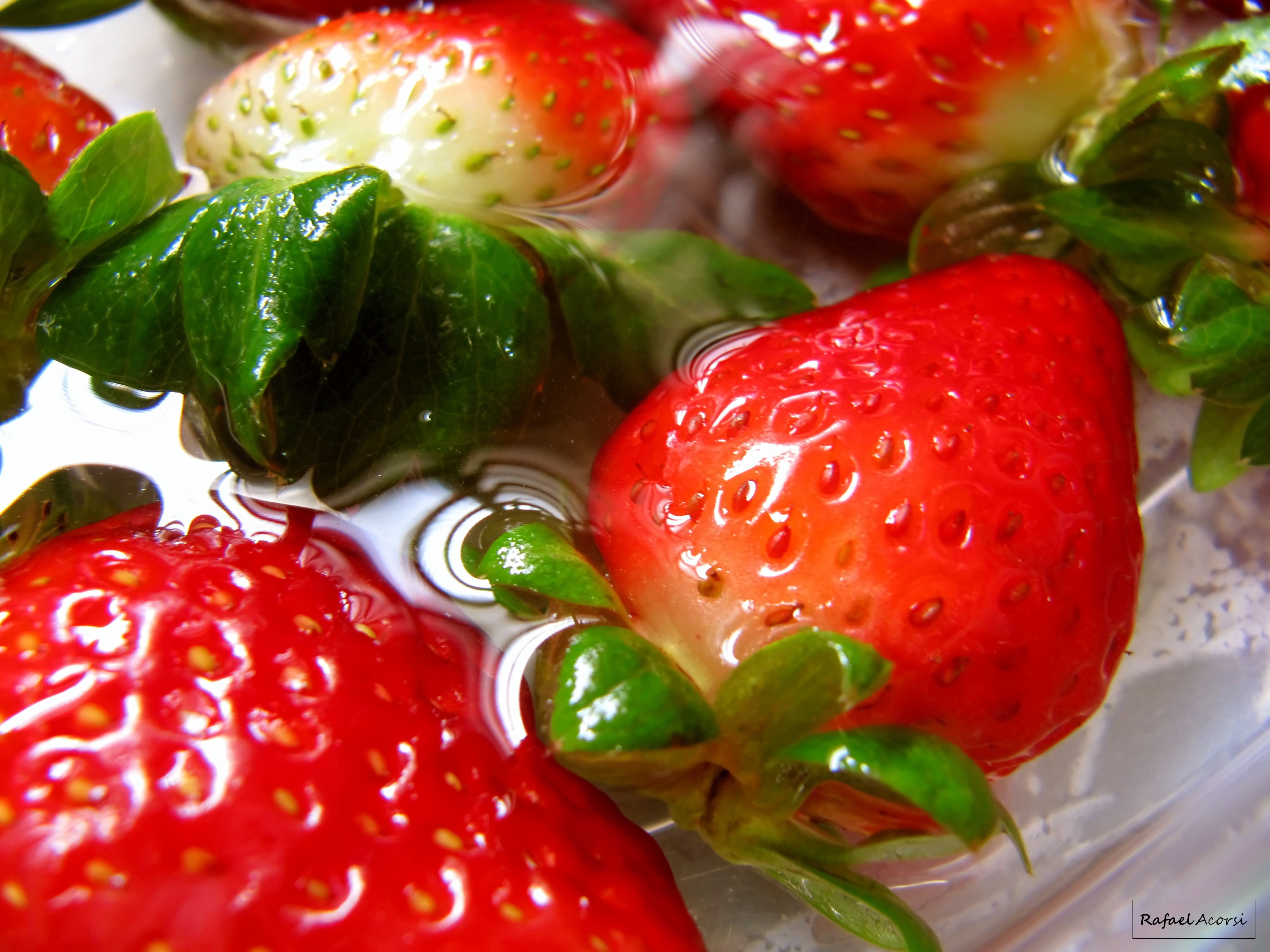 leaf, food, still life photography, fruit, red, macro, strawberry, dessert, photography, fruits, Canon PowerShot SX200 IS, still, healthy Eating, ripe, HD Wallpaper