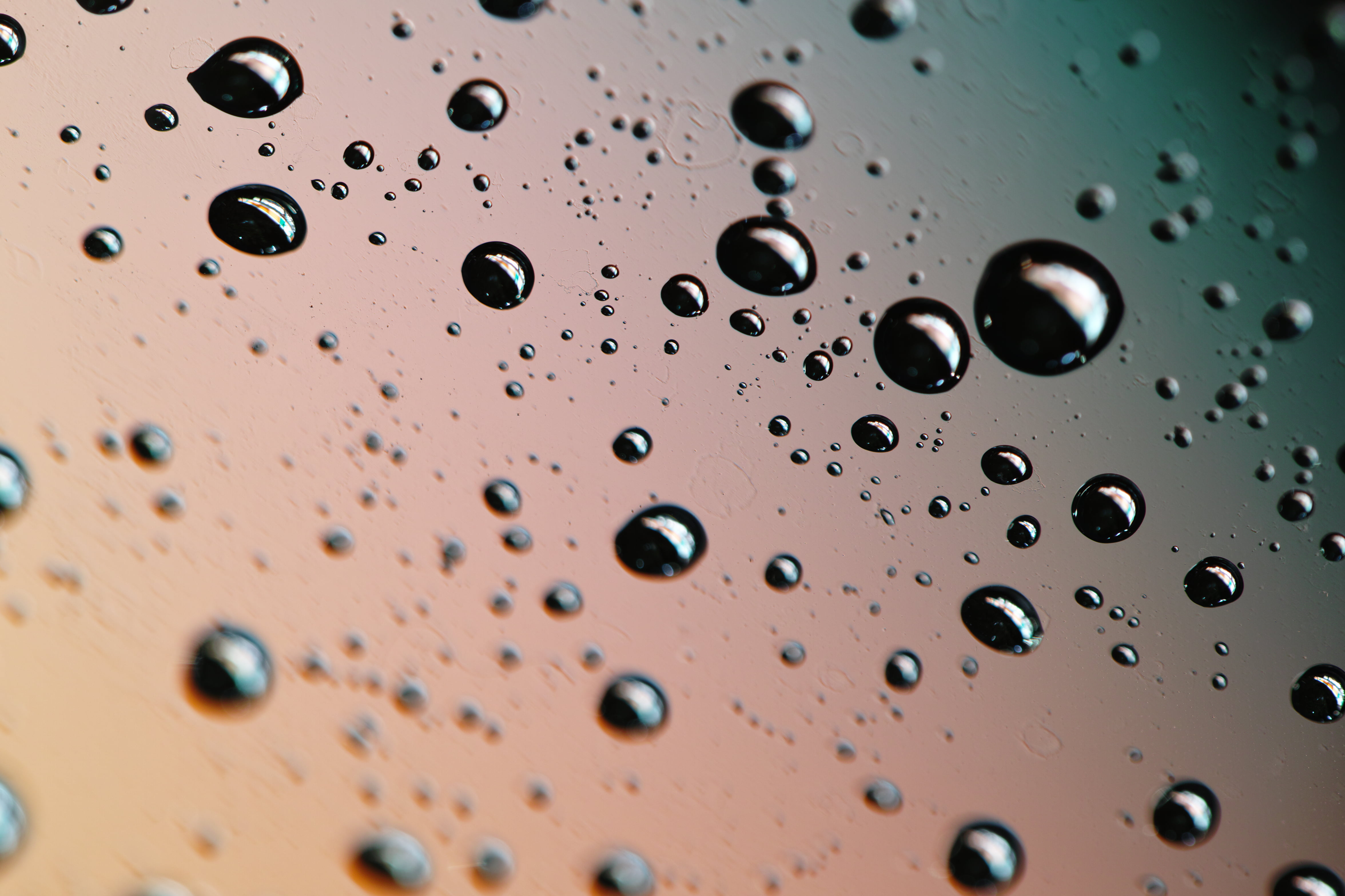 Macro, liquid, foveon, nature, SD1, japan, Soft, pattern, droplets, rain, water droplets, backgrounds, F2.8, photo, drop, close, close-up, water, Merrill, HD Wallpaper