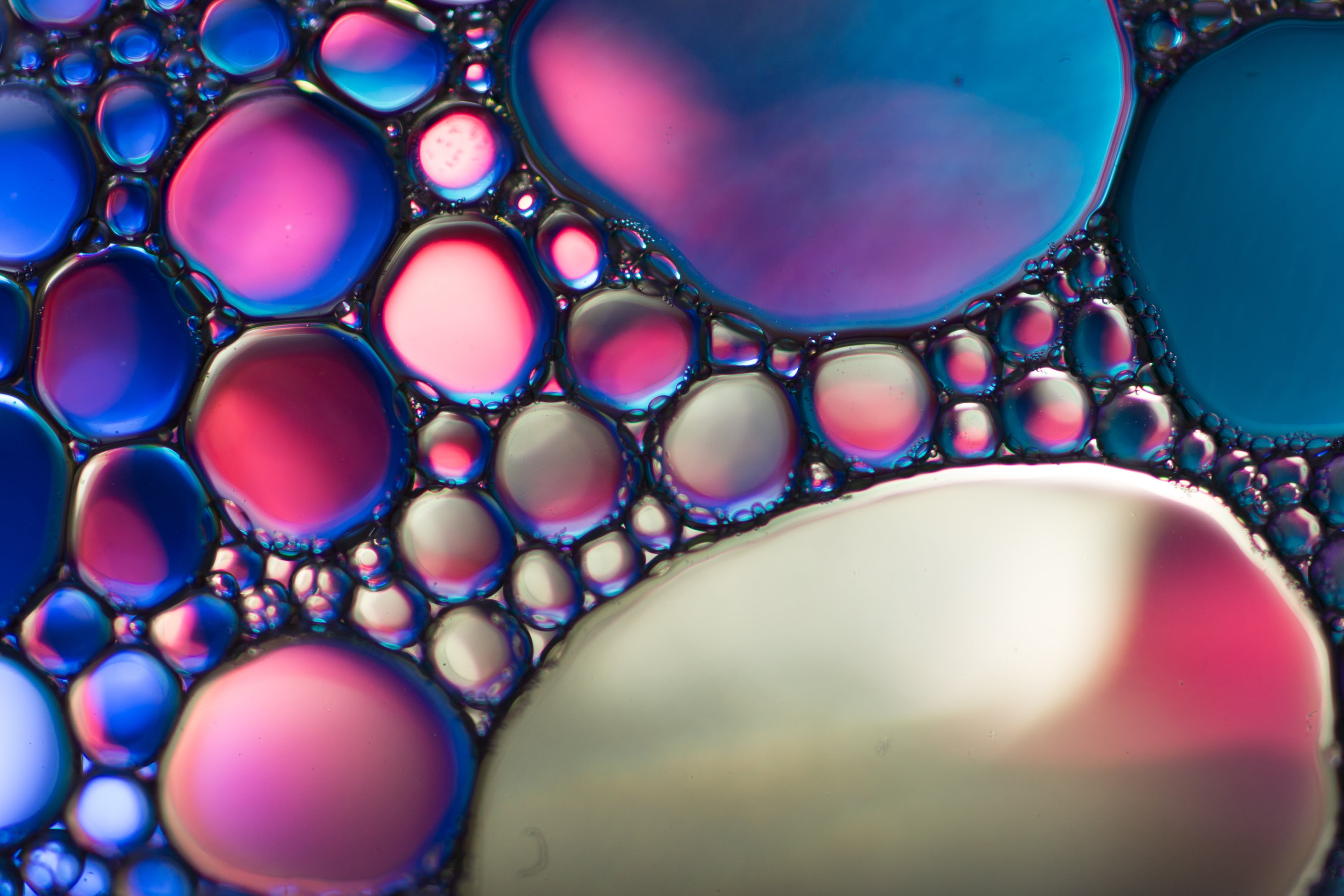 water, shape, close-up, magnification, pattern, purple, macro, abstract, no people, painting, drop, studio shot, bubble, indoors, backgrounds, oil, soap sud, HD Wallpaper