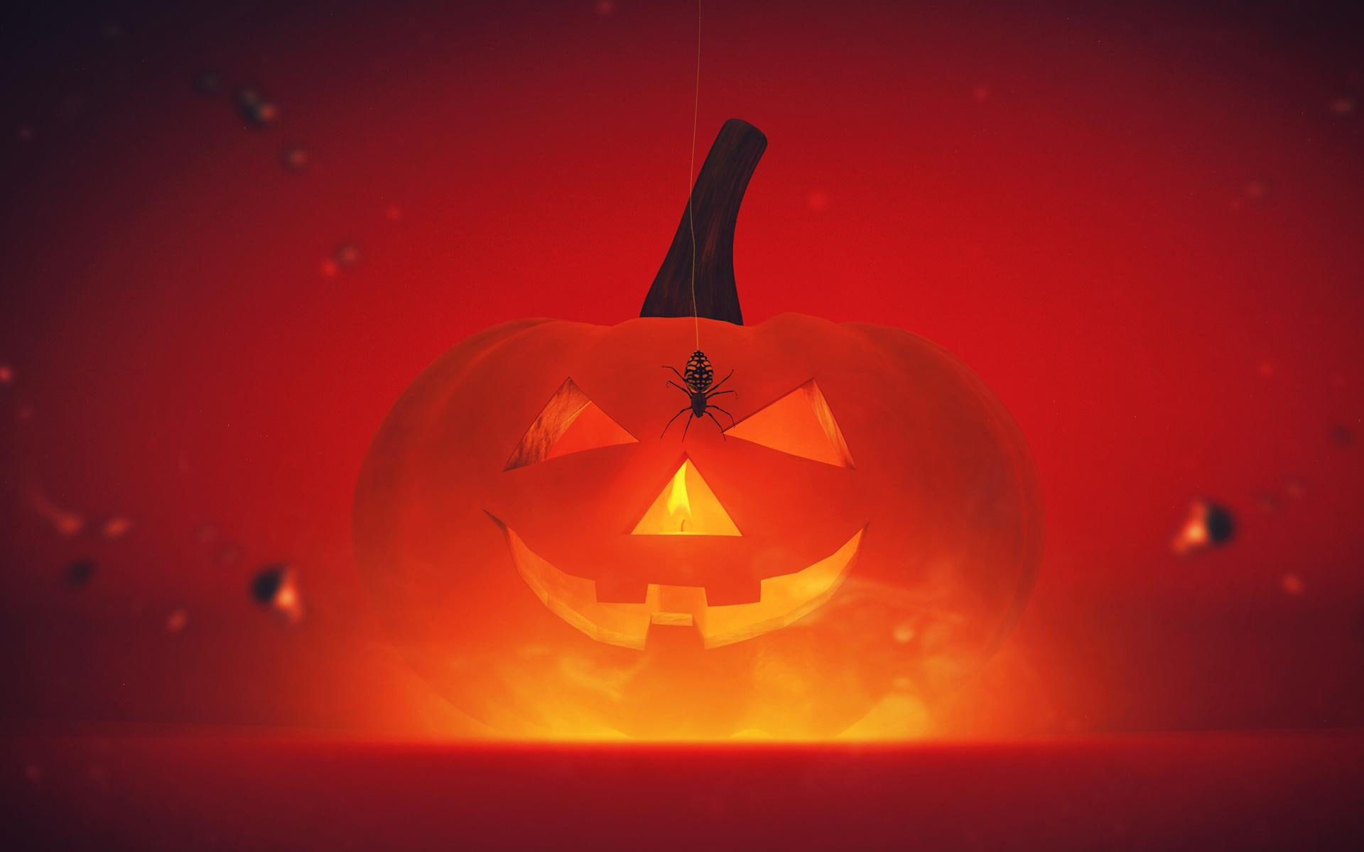 happy, celebrations, 1080P, halloween, HD Wallpaper