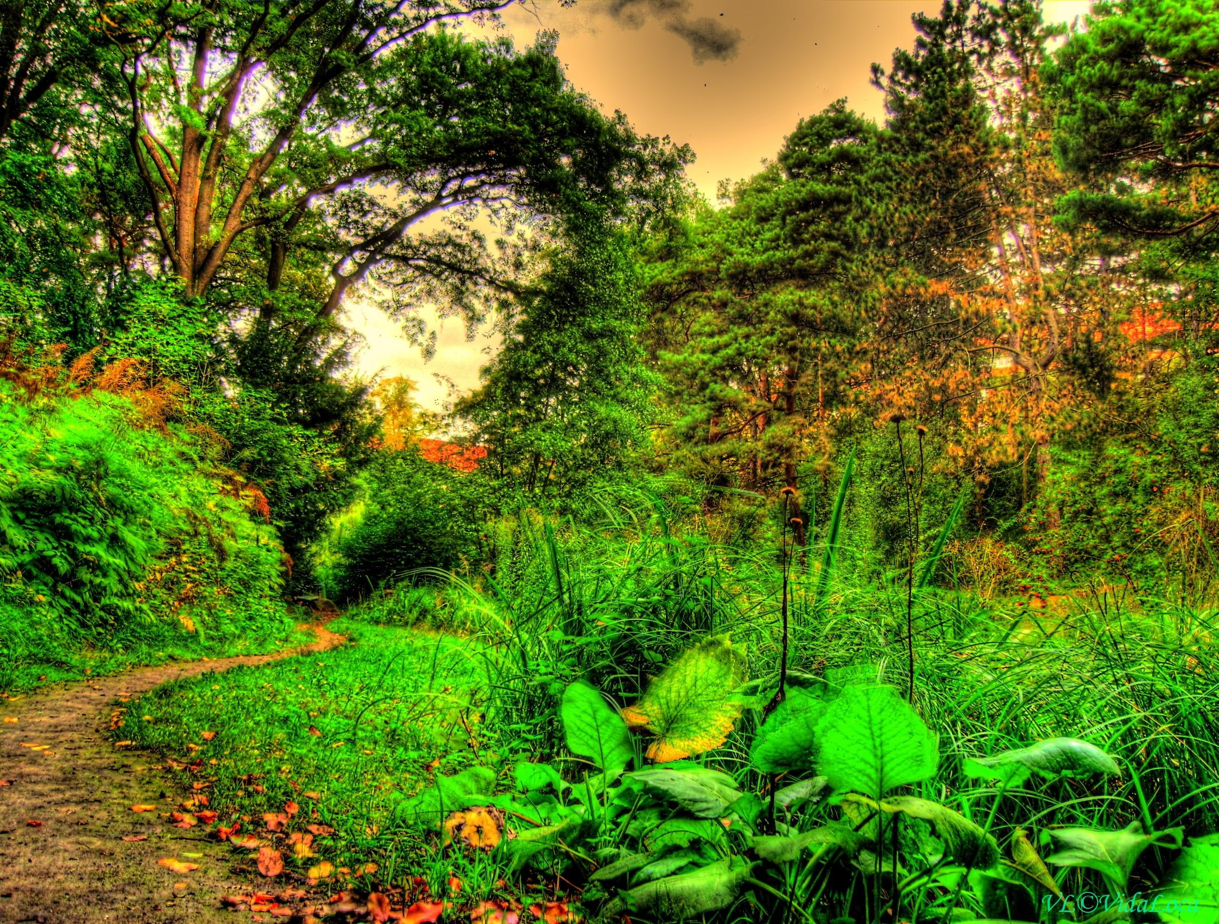 green, 1080P, painted, nature, 3d and abstract, lot, park, HD Wallpaper