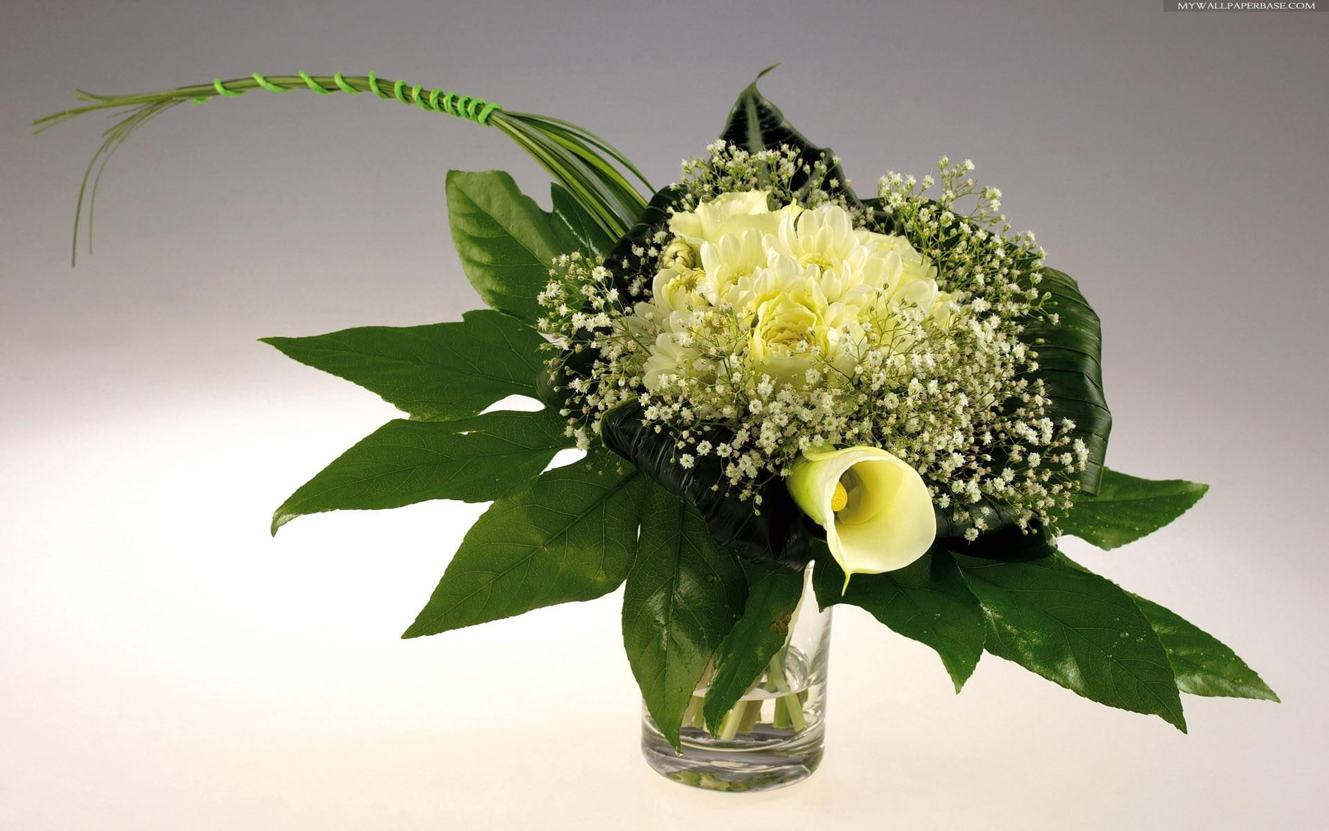 white, beautiful, 3d and abstract, s, lily, anne, baby, greens, friend, flowers, water, breath, 1080P, glass vase, calla, vase, yellow, HD Wallpaper