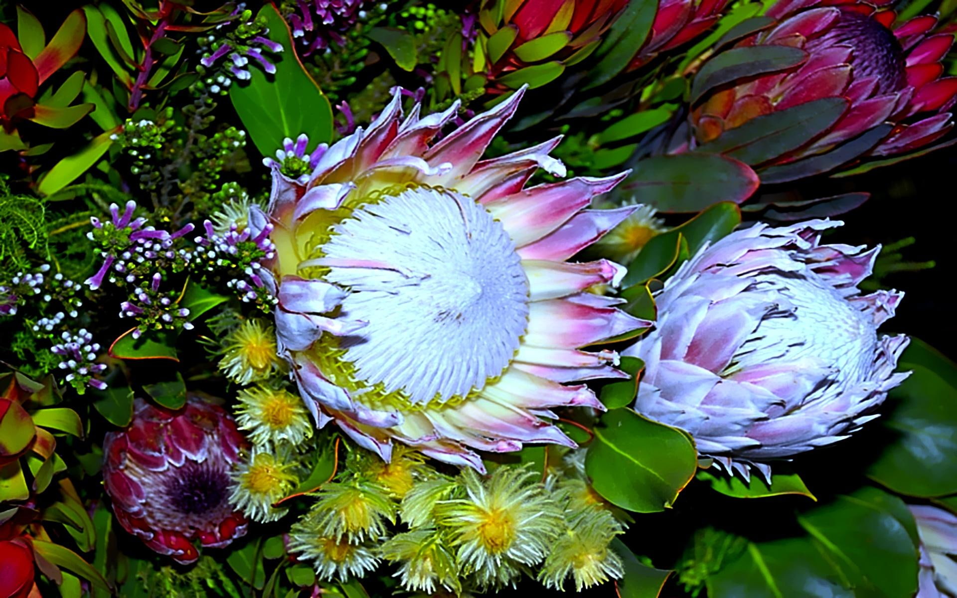 beauty, romantic, glow, colorful, 3d and abstract, loving, caring, 1080P, beautiful, flowers, HD Wallpaper