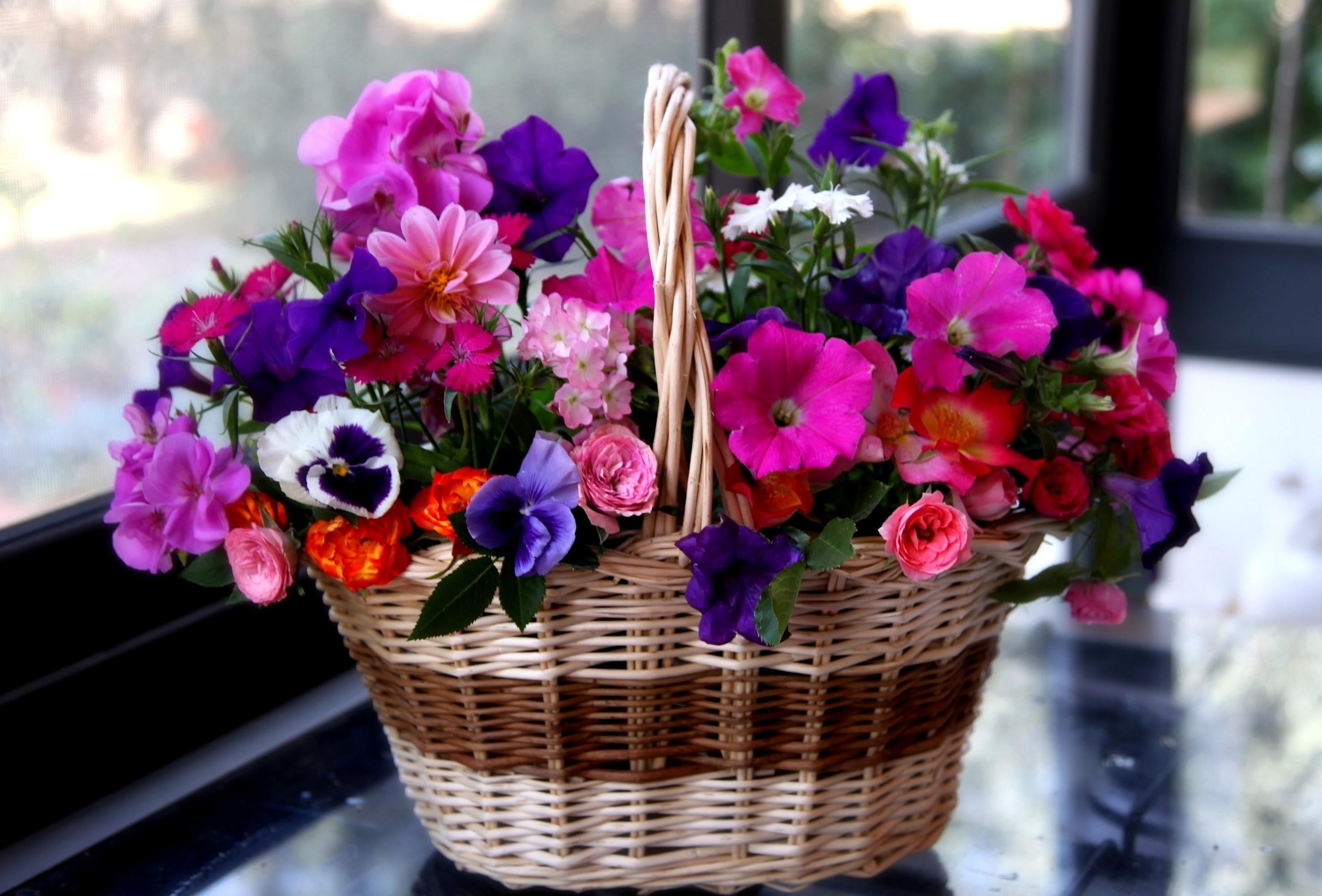 multi Colored, flowering plant, rose - Flower, outdoors, geraniums, leaf, close-up, assorted, arrangement, table, bouquet, pansies, color, beauty In Nature, HD Wallpaper
