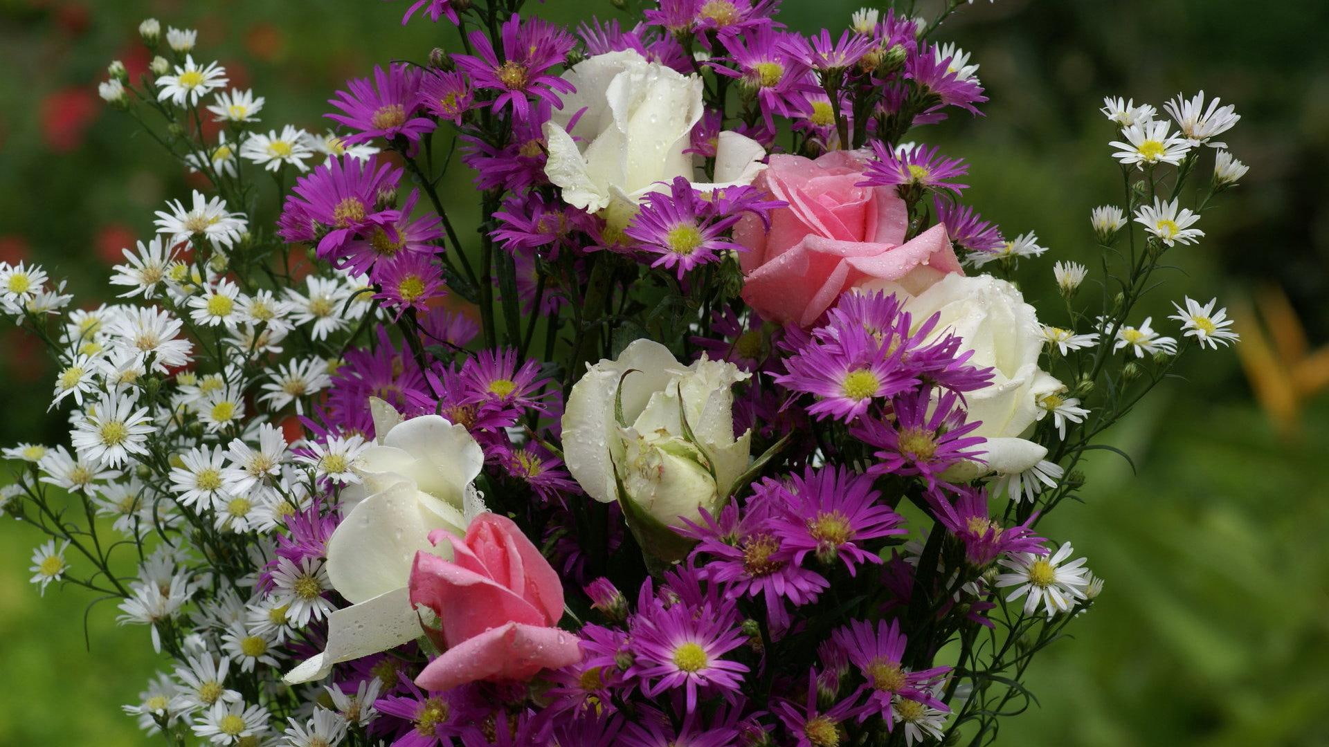 nature, wild, bouquet, summer, rose, 1080P, nature and landscapes, flowers, HD Wallpaper