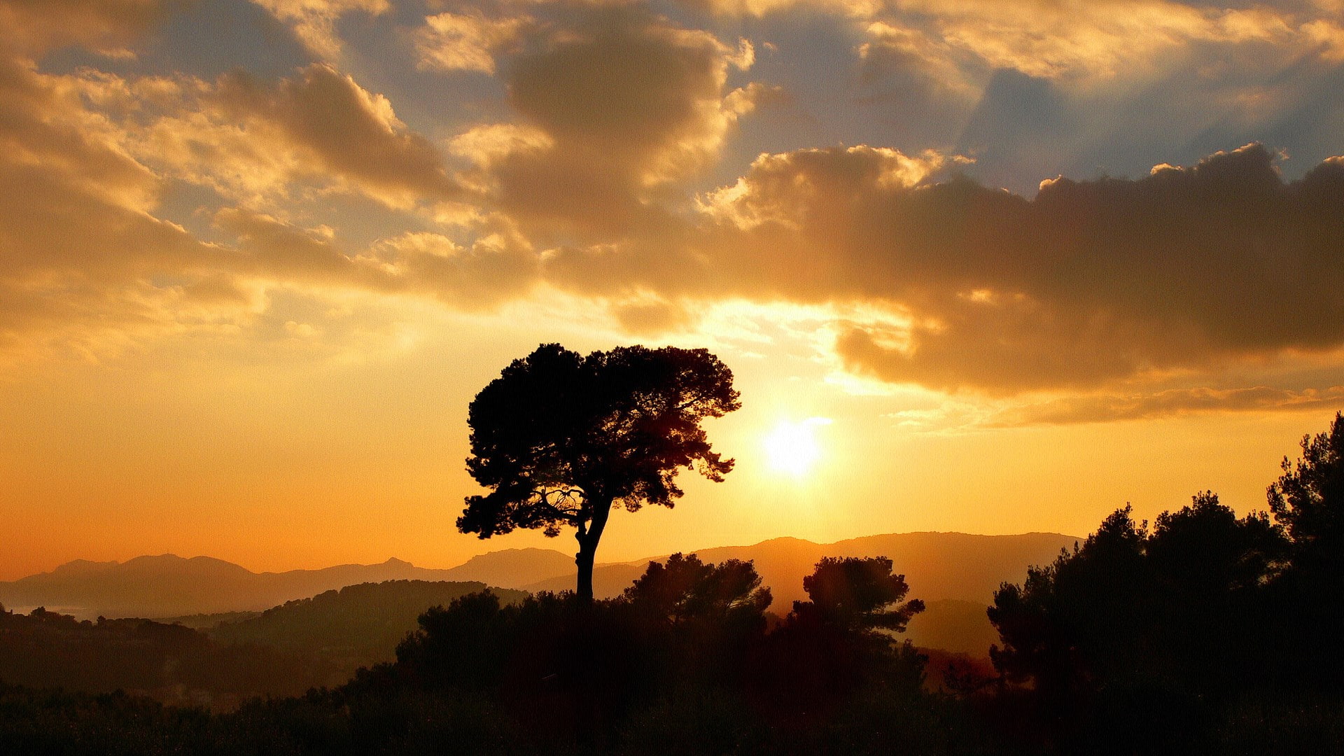 beauty in nature, pine tree, sky, mountain range, nature, scenics - nature, plant, sun, tree, cloud - sky, sunlight, silhouette, outdoors, non-urban scene, HD Wallpaper